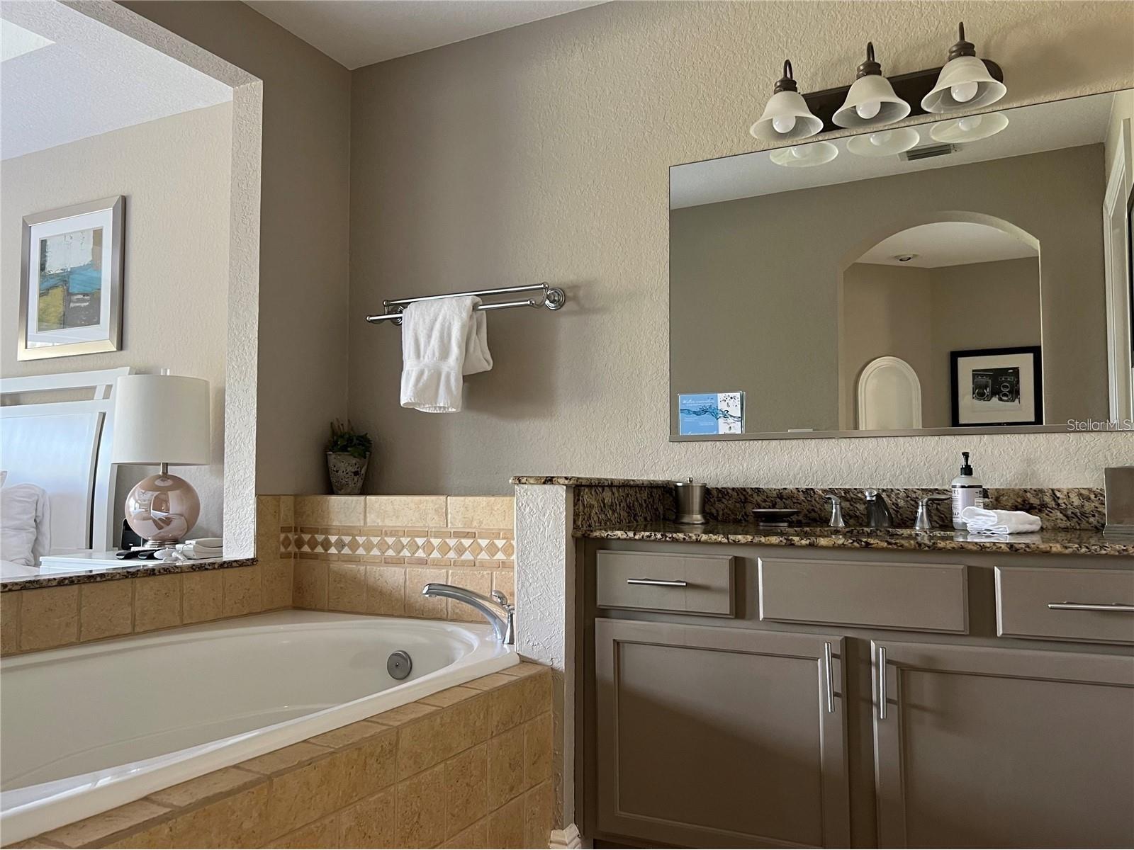 1301 Seven Eagles Court #1301 Reunion FL 34747 O6417474 image9