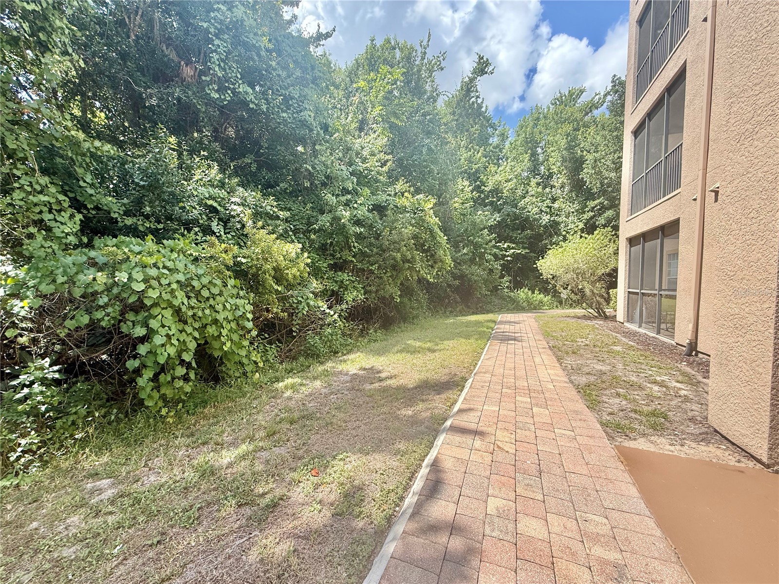 1301 Tuscan Terrace #9106 Davenport FL 33896 O6412296 image3