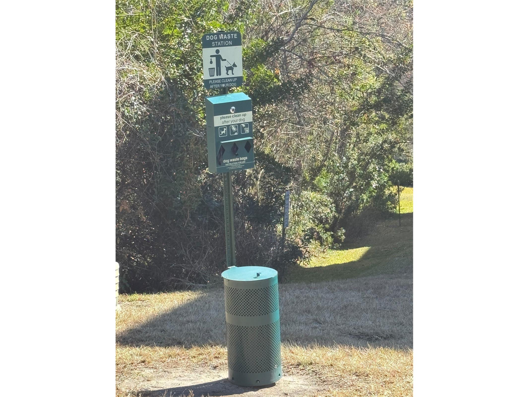 1301 Tuscan Terrace #9301 Davenport FL 33896 O6379915 image18