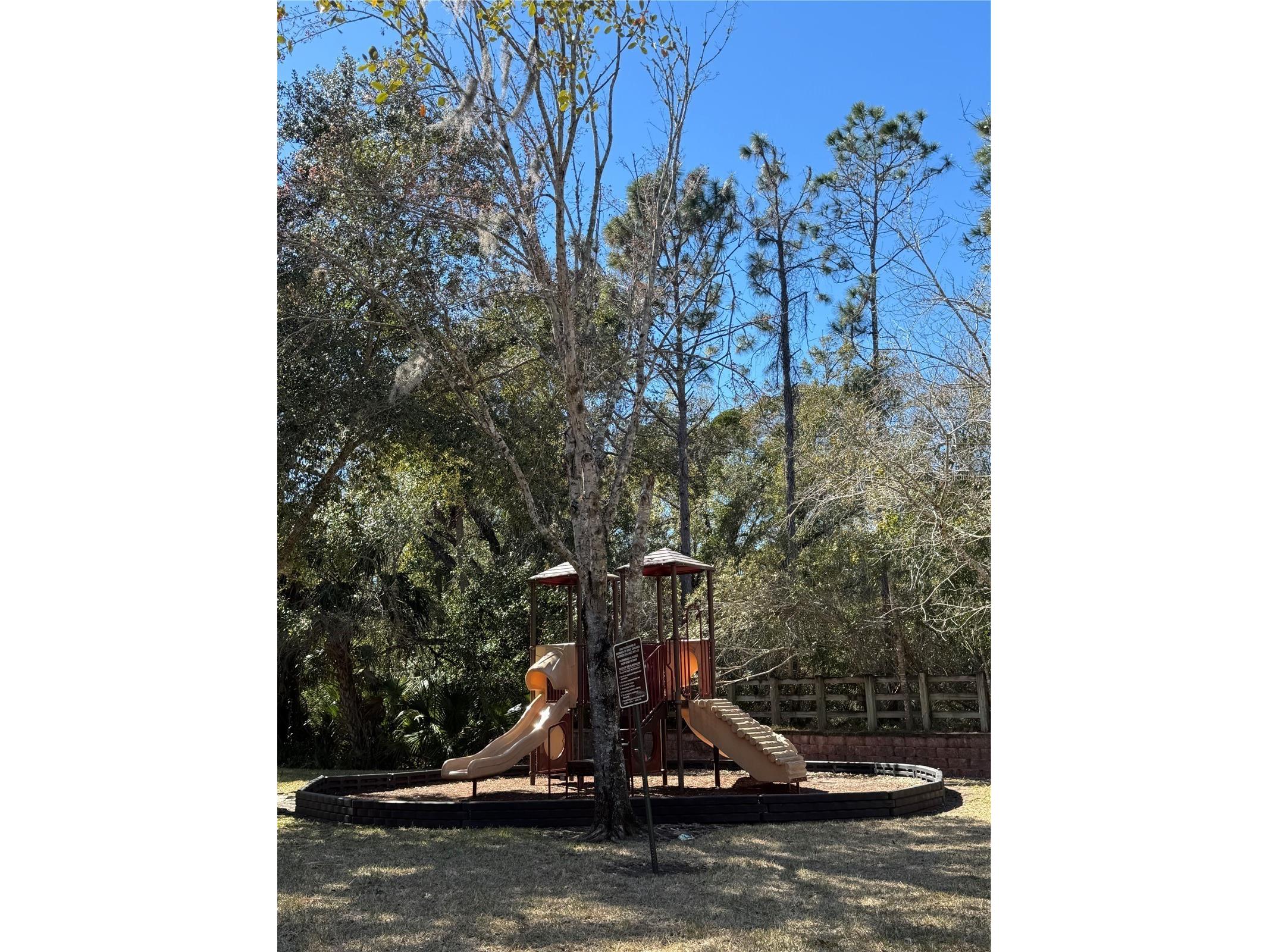 1301 Tuscan Terrace #9301 Davenport FL 33896 O6379915 image21