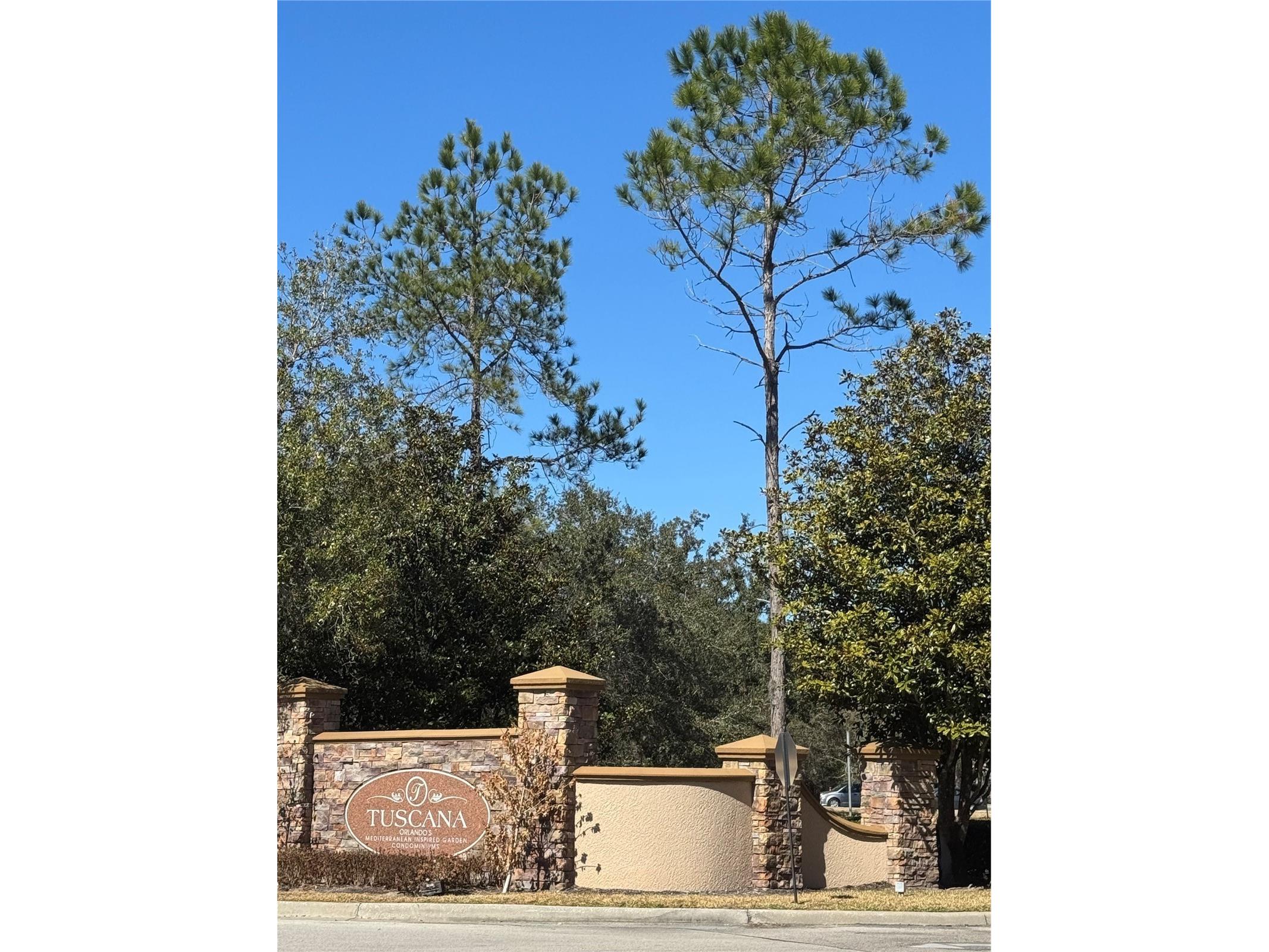 1301 Tuscan Terrace #9301 Davenport FL 33896 O6379915 image29