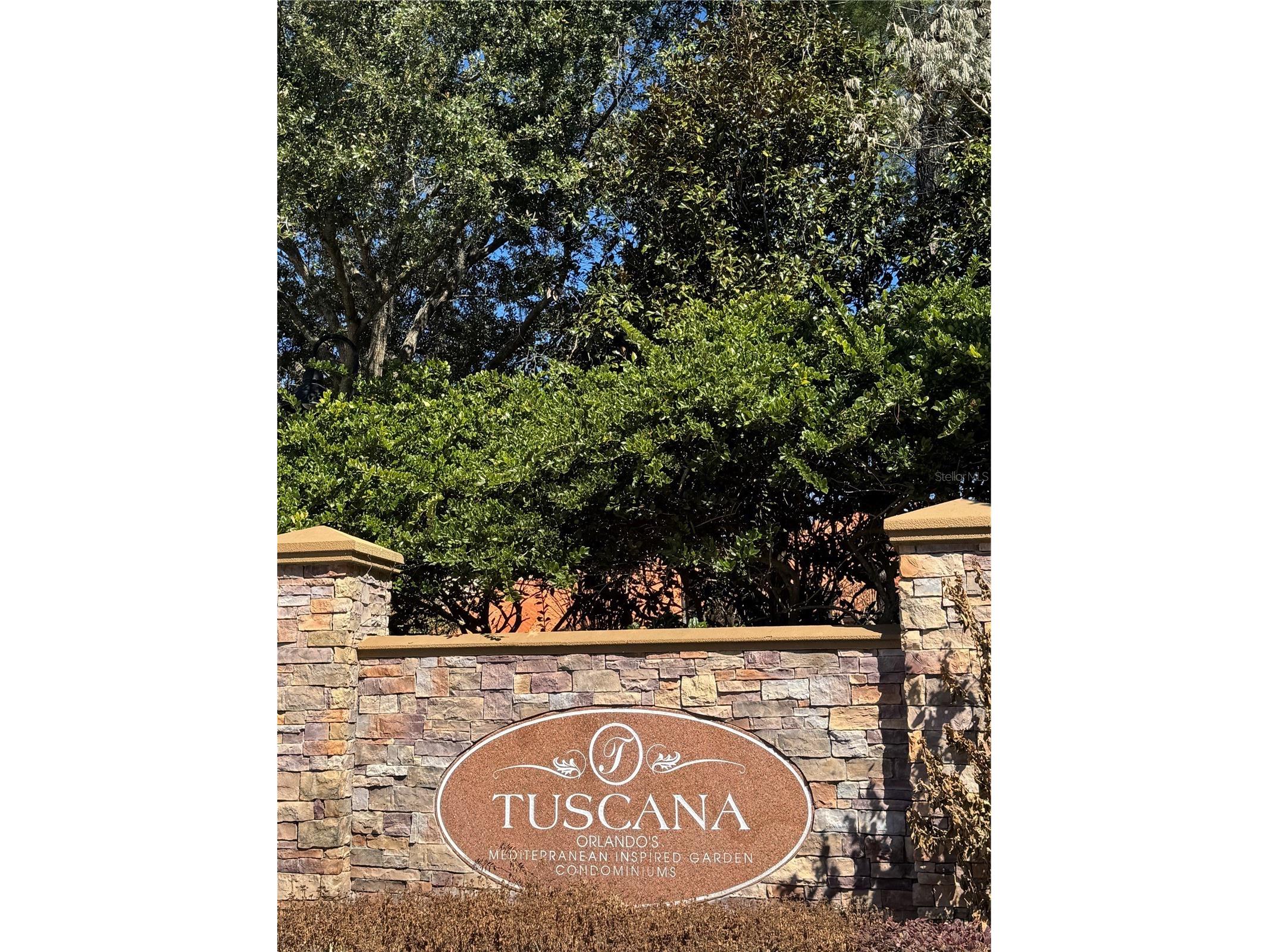 1301 Tuscan Terrace #9301 Davenport FL 33896 O6379915 image31