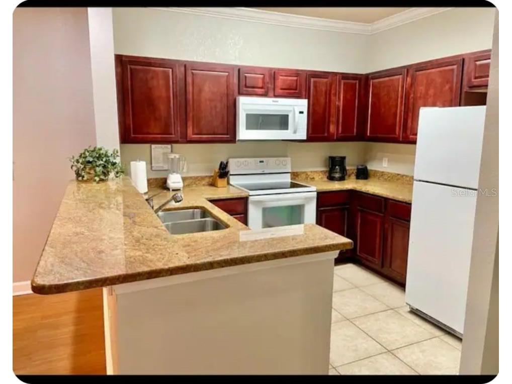 1301 Tuscan Terrace #9301 Davenport FL 33896 O6379915 image8