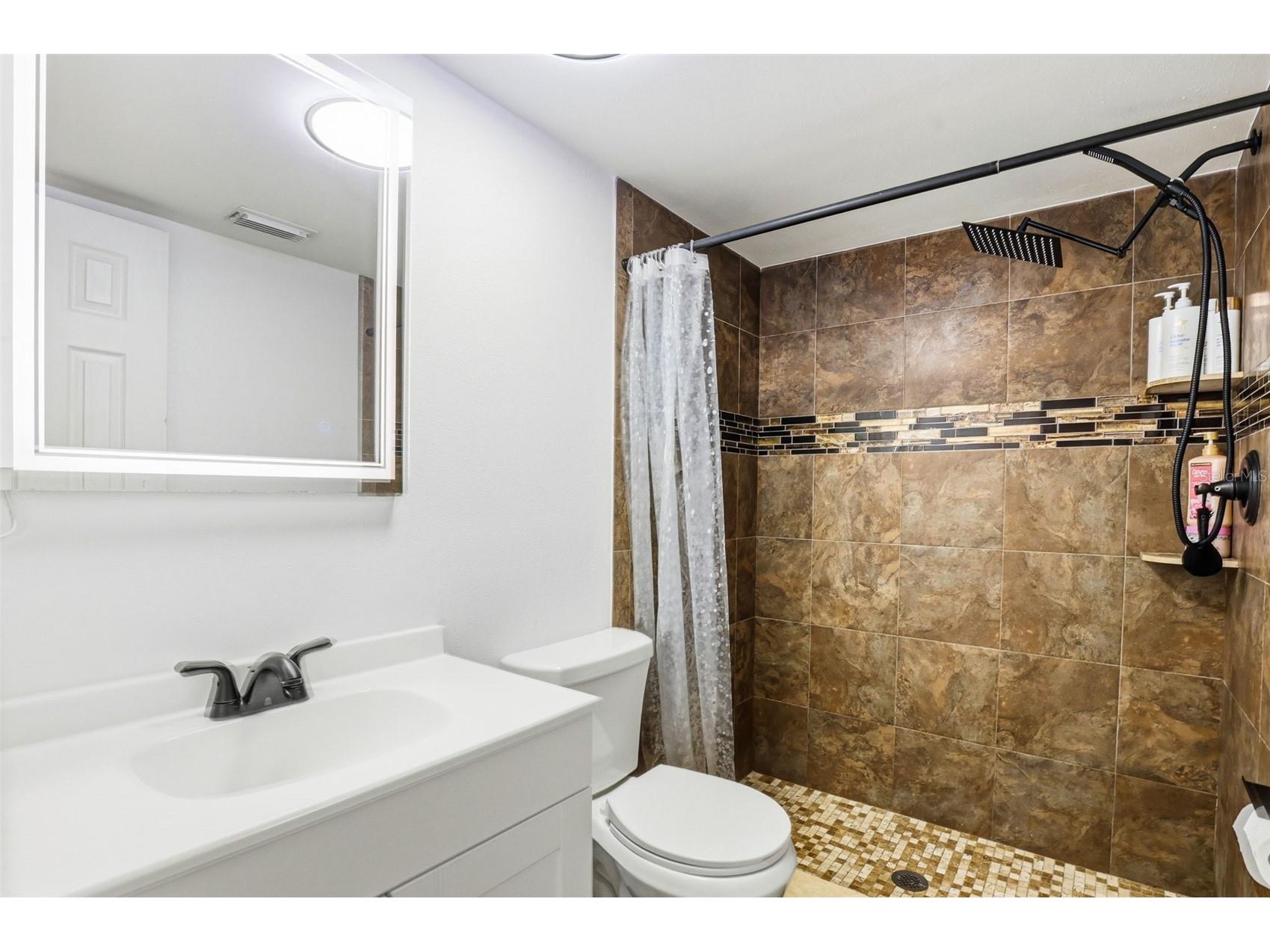 1301 Vinemont Drive Brandon FL 33510 TB8486502 image37