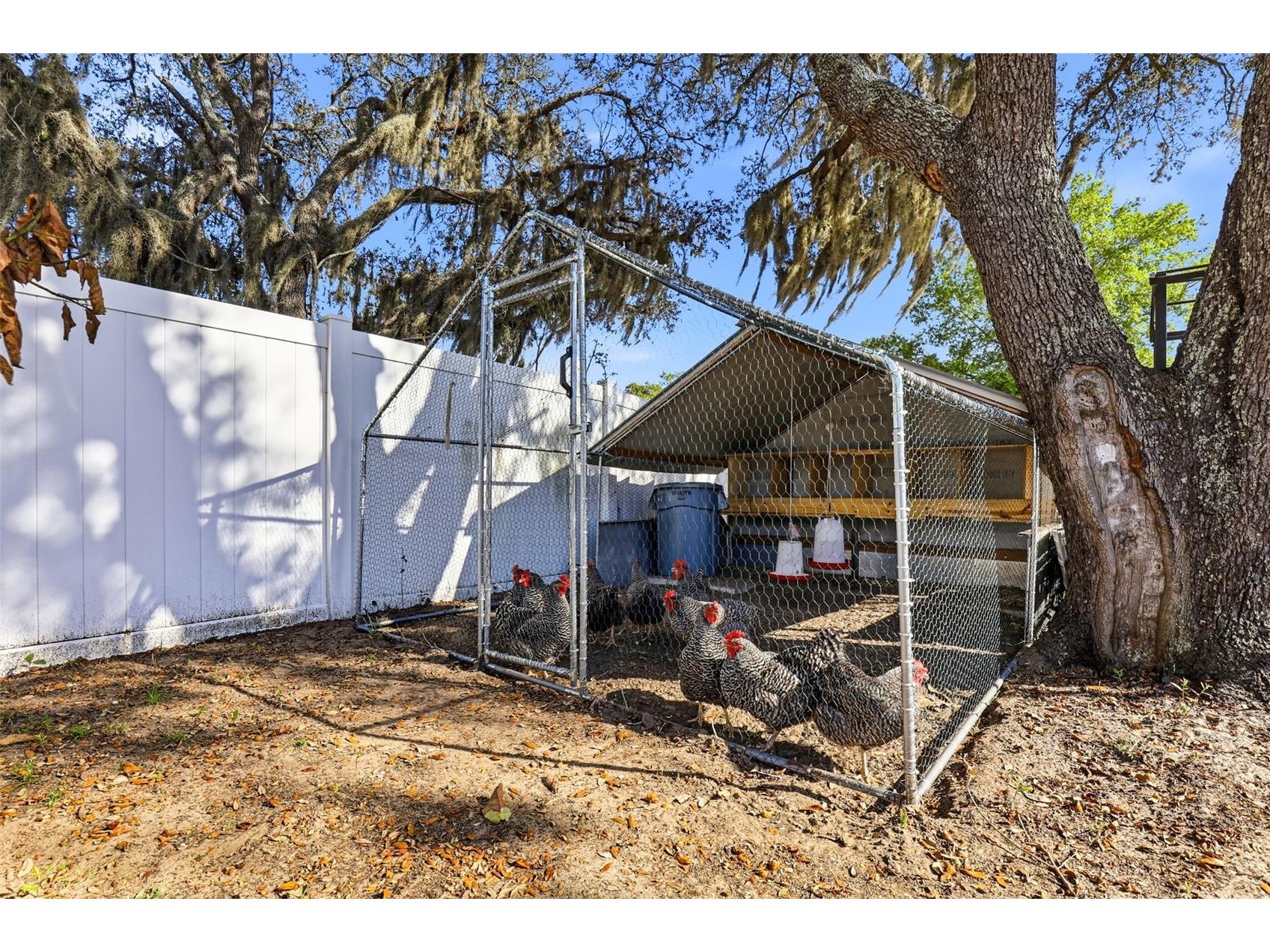 1301 Vinemont Drive Brandon FL 33510 TB8486502 image45