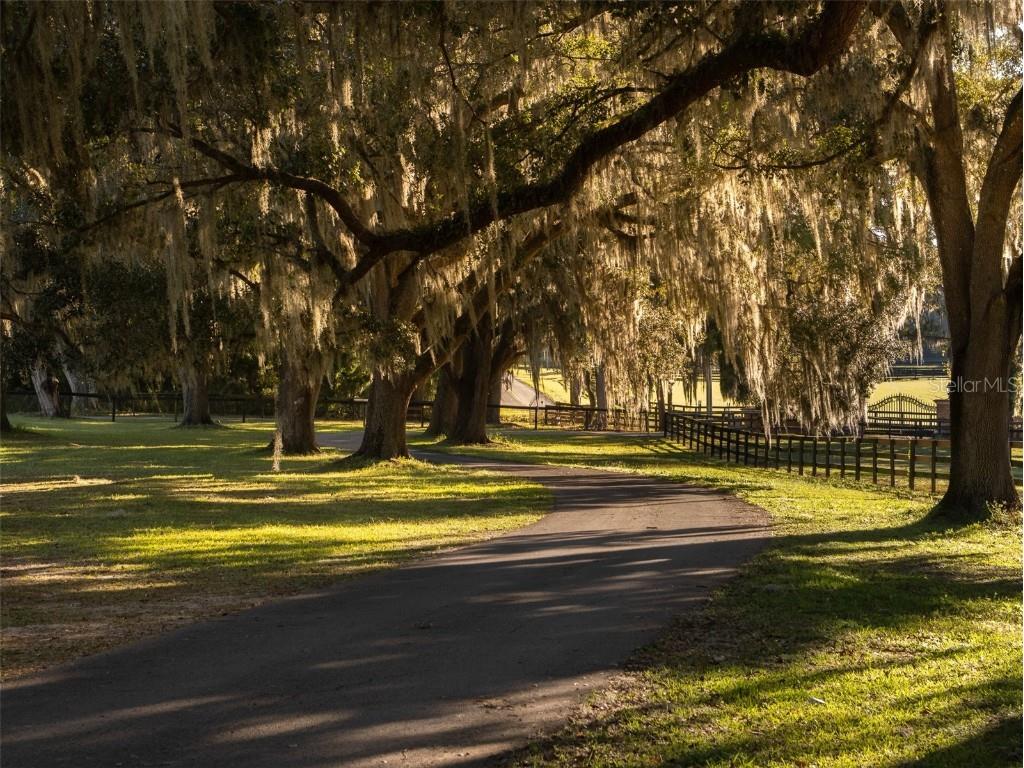 13010 NW 90th Avenue Reddick FL 32686 OM712677 image3