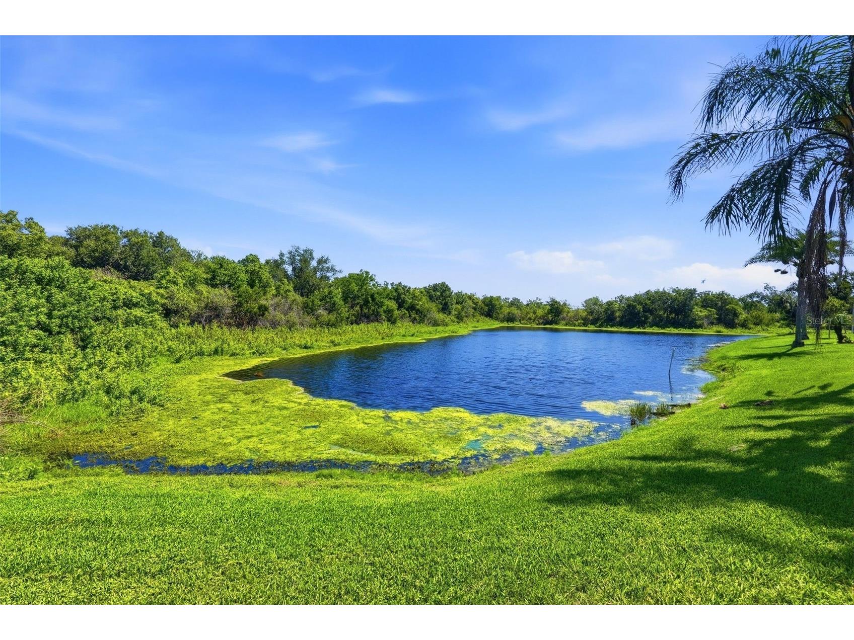 13010 Prestwick Drive Riverview FL 33579 A4693675 image39