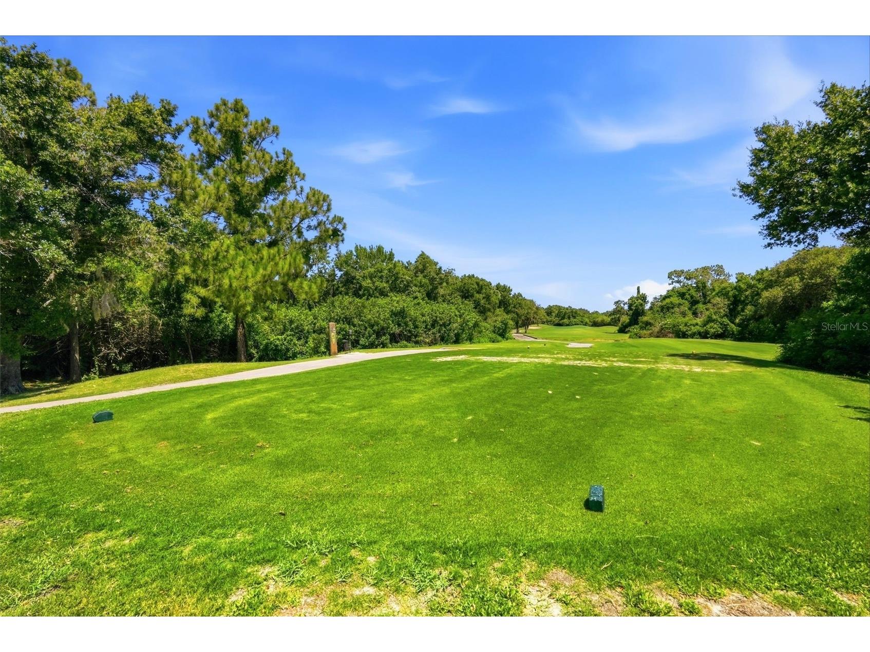 13010 Prestwick Drive Riverview FL 33579 A4693675 image41