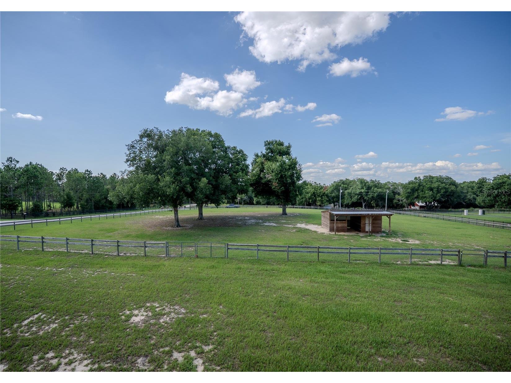 13011 Hidden Ridge Lane Clermont FL 34715 OM727109 image38