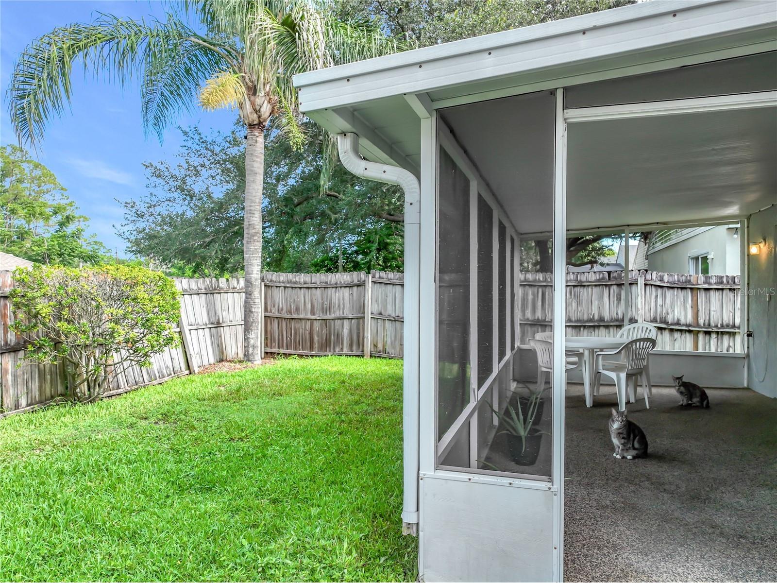 13011 Odyssey Lake Way Orlando FL 32826 O6423710 image48