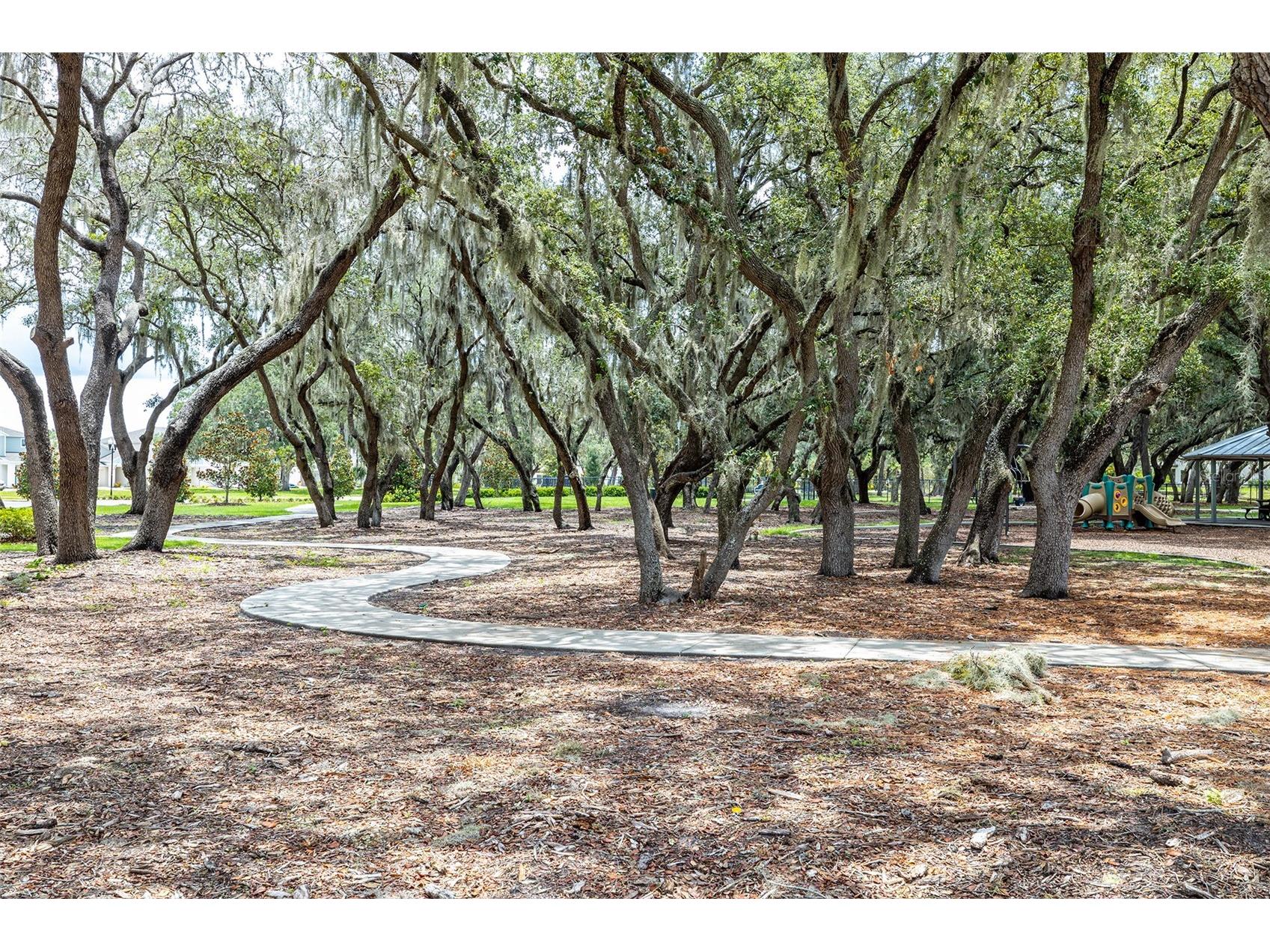 13011 Pennybrook Drive Riverview FL 33579 TB8521600 image31