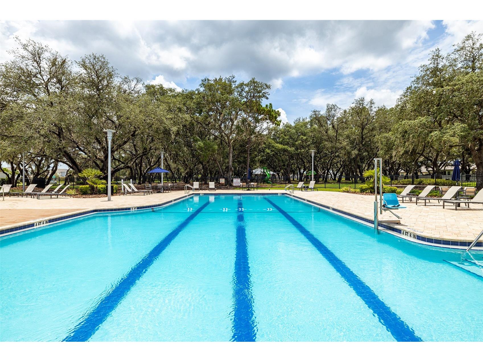 13011 Pennybrook Drive Riverview FL 33579 TB8521755 image27