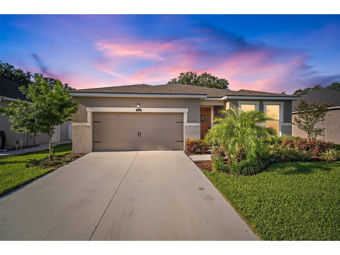 13011 Satin Lily Drive Riverview FL 33579 T3524009 image1