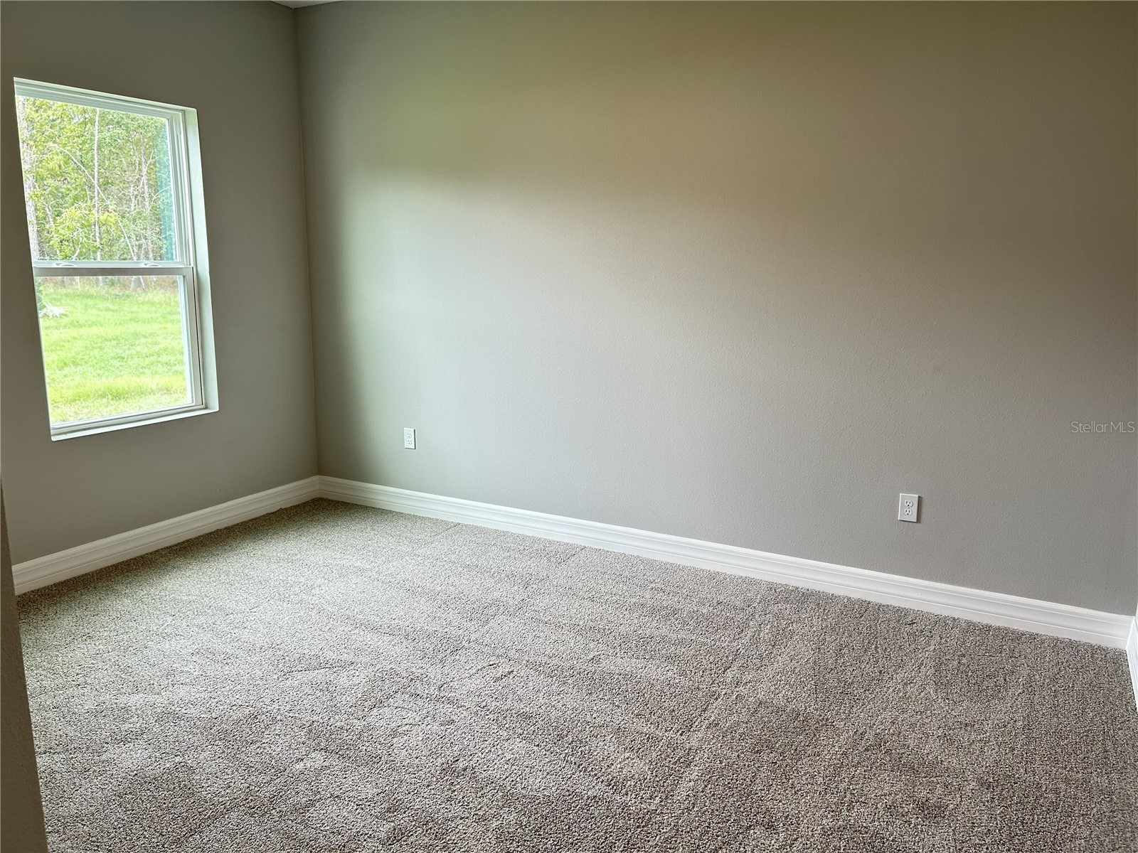 13012 Robin Avenue Brooksville FL 34614 P4937945 image16