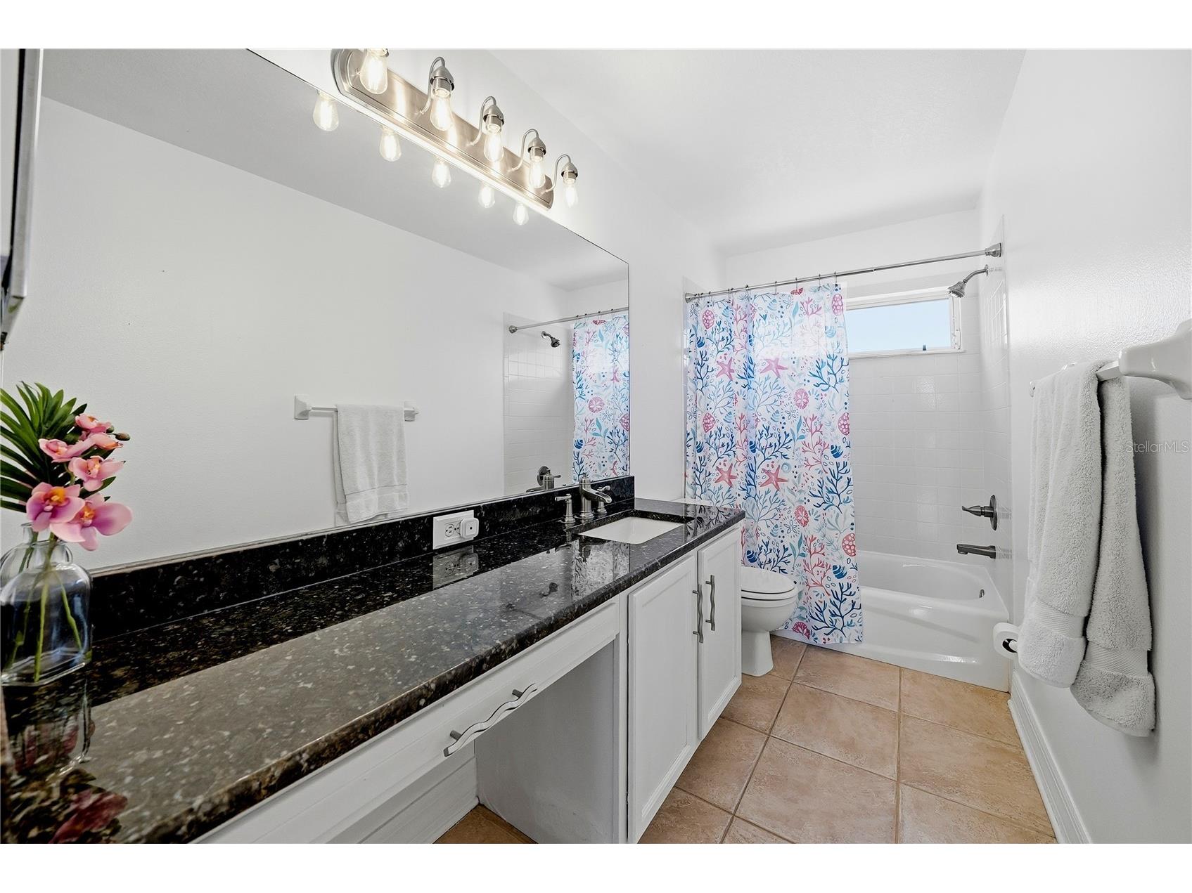 13012 Saint Filagree Drive Riverview FL 33579 TB8515062 image37