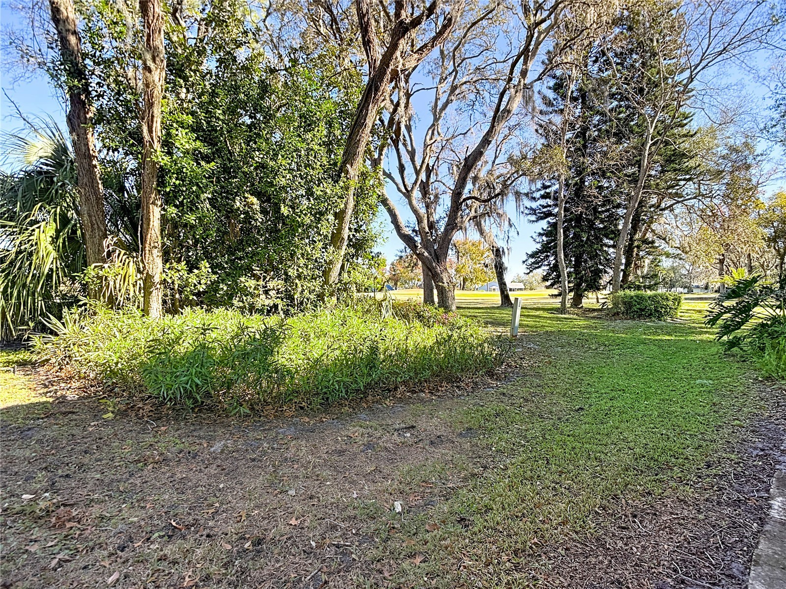 13012 Wedgewood Way #A Hudson FL 34667 TB8471581 image47