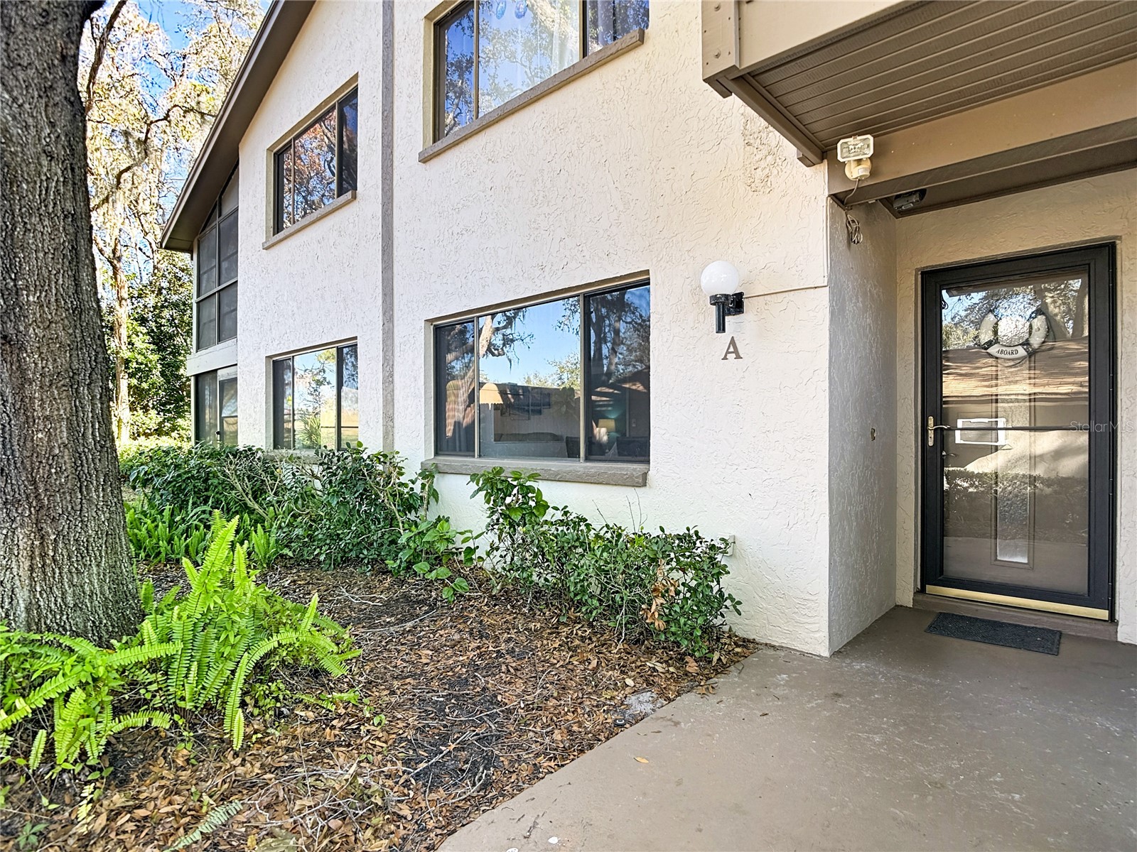 13012 Wedgewood Way #A Hudson FL 34667 TB8471581 image50