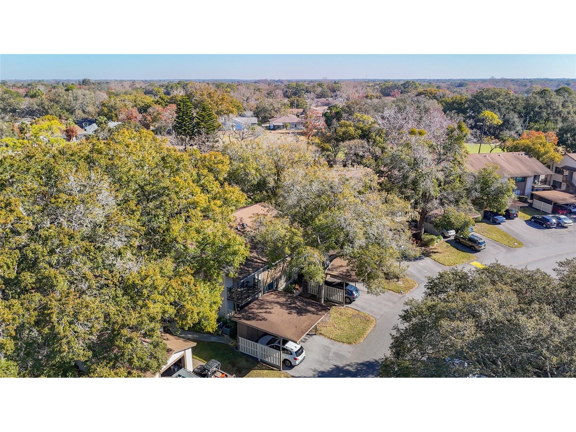 13012 Wedgewood Way #A Hudson FL 34667 TB8471581 image59