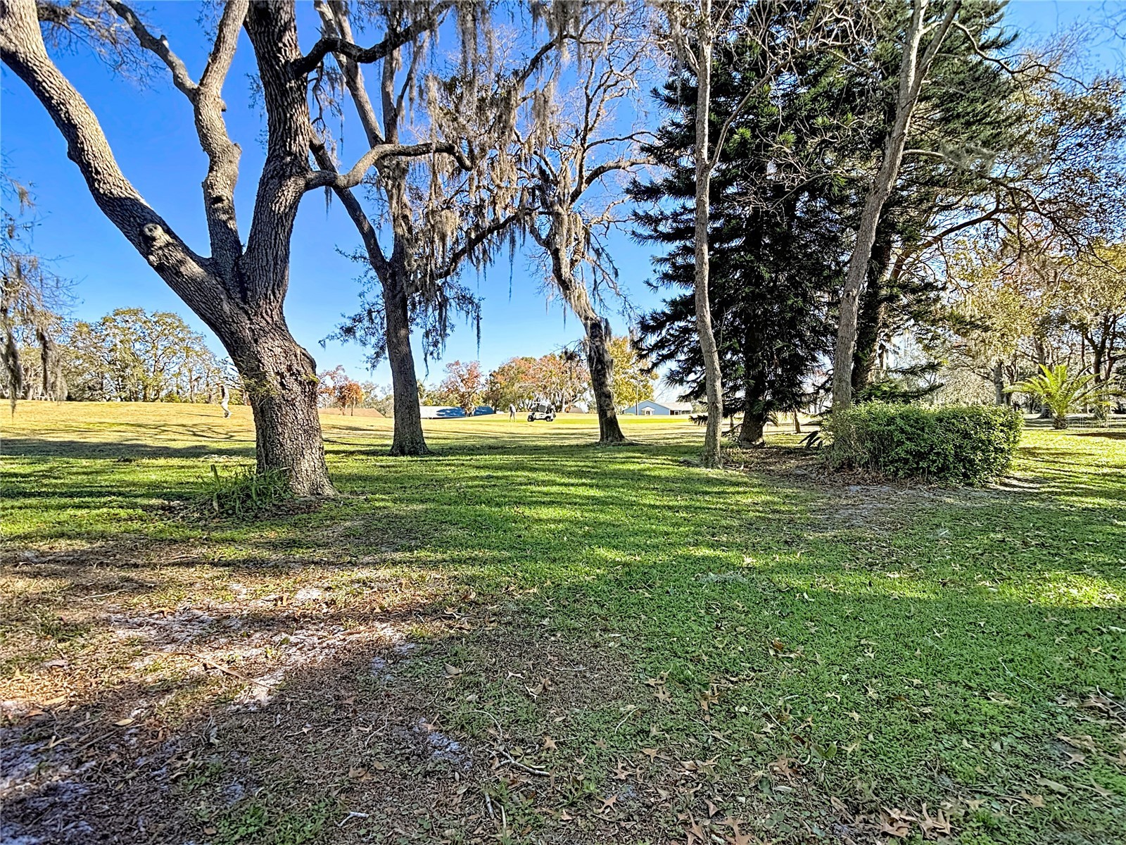 13012 Wedgewood Way #A Hudson FL 34667 TB8471581 image79