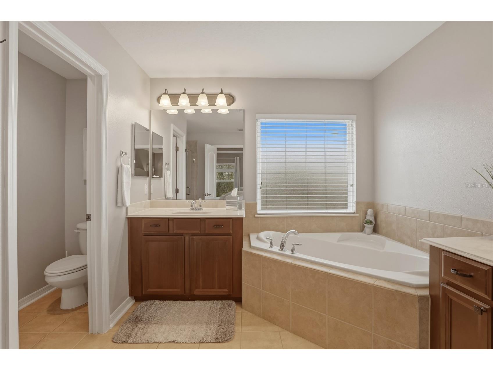 13013 Overstreet Road Windermere FL 34786 O6380917 image26