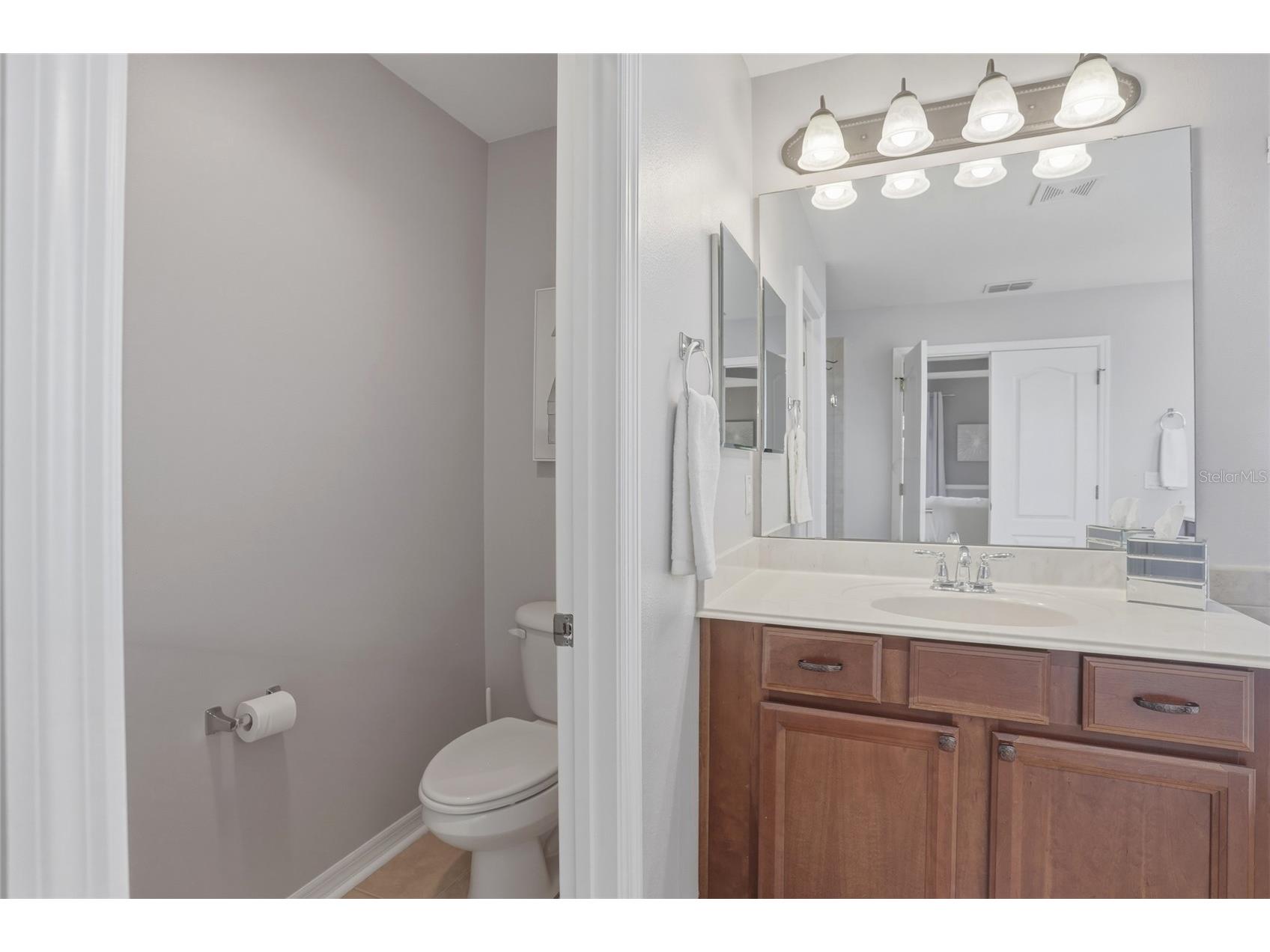 13013 Overstreet Road Windermere FL 34786 O6380917 image27