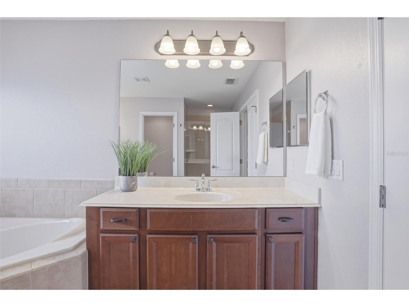 13013 Overstreet Road Windermere FL 34786 O6380917 image30