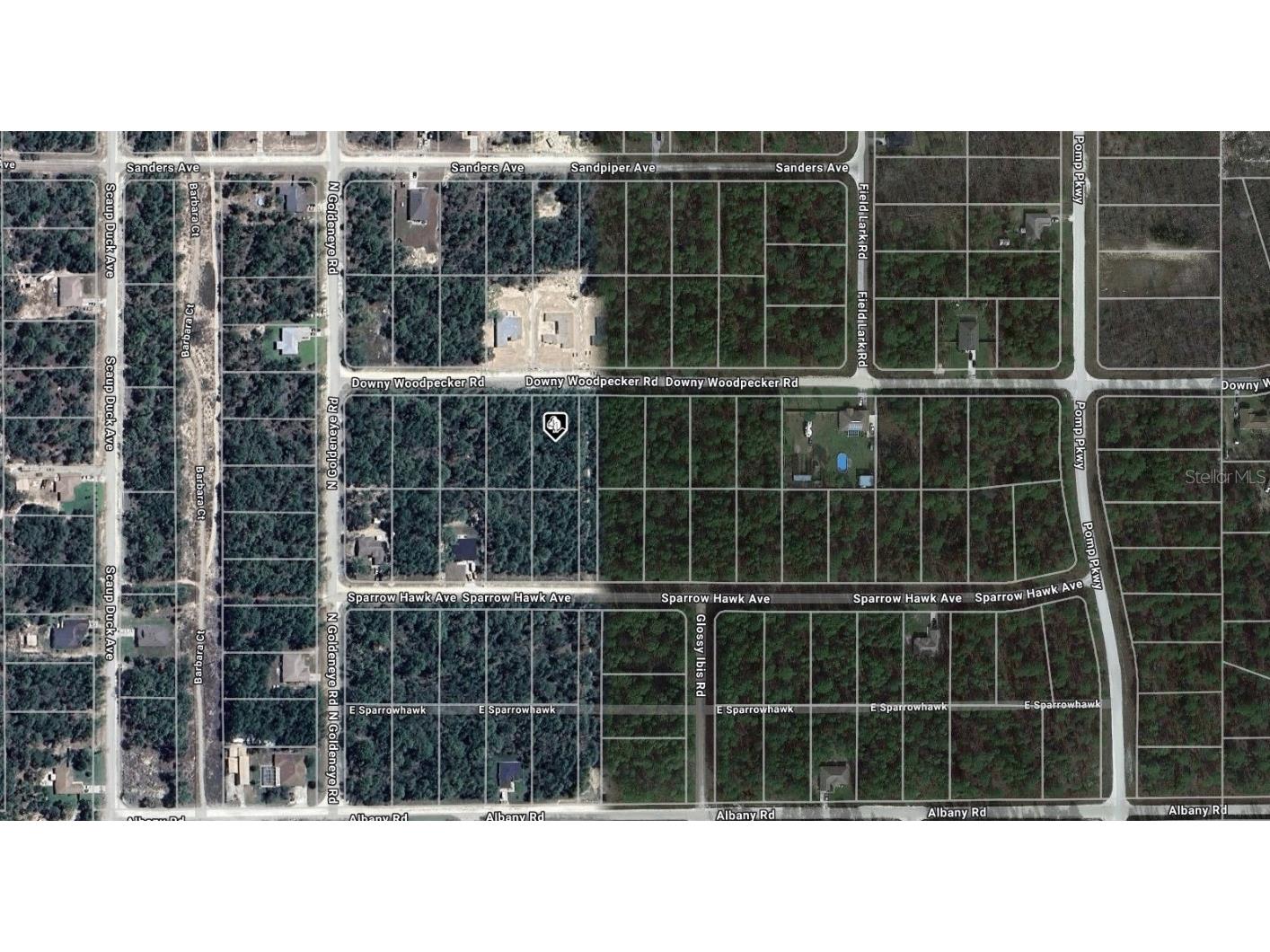 13014 Downy Woodpecker Road Weeki Wachee FL 34614 A4635247 image1