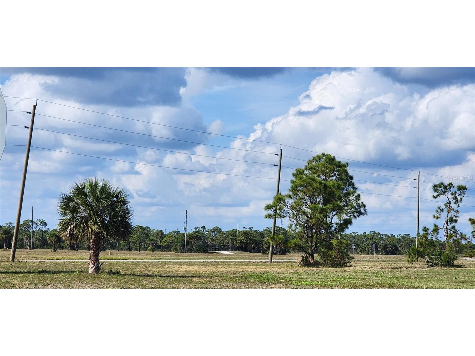 13014 Emerald Road Placida FL 33946 D6144840 image6