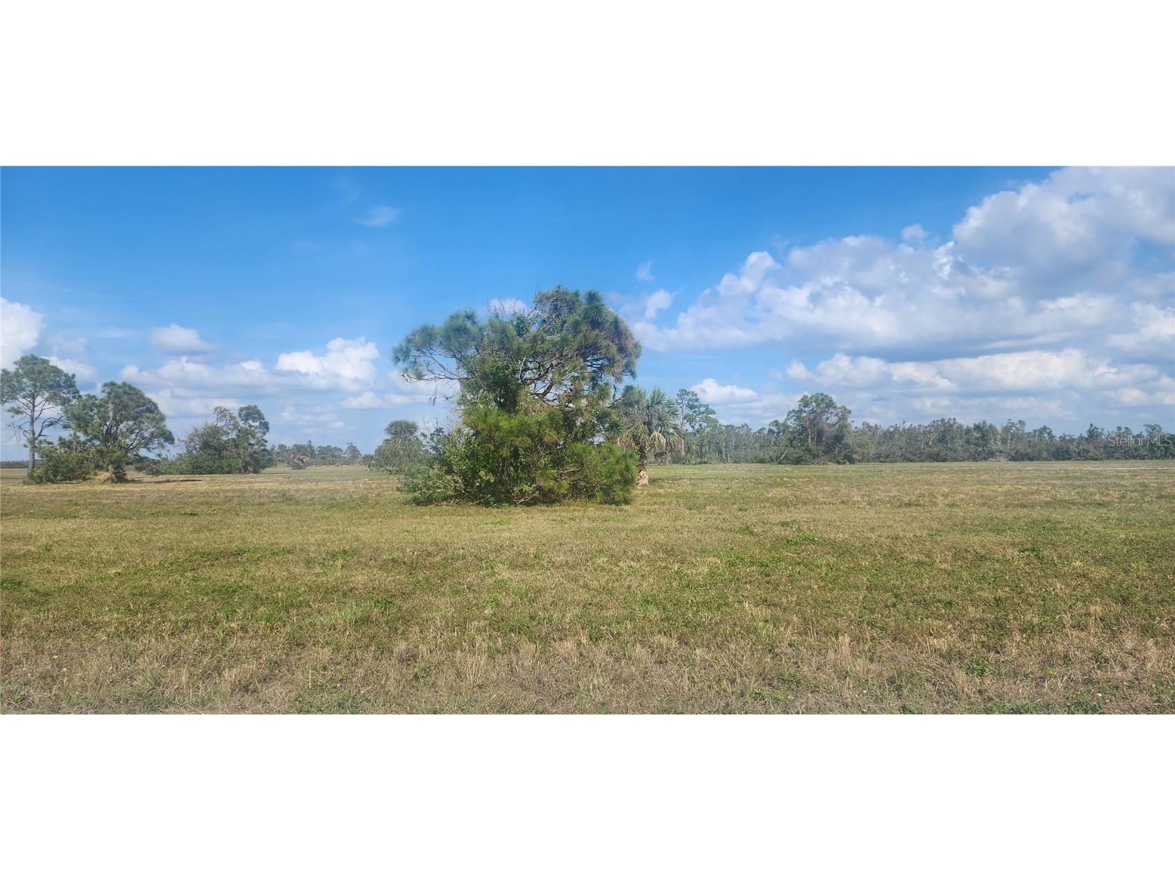 13014 Emerald Road Placida FL 33946 D6144840 image8