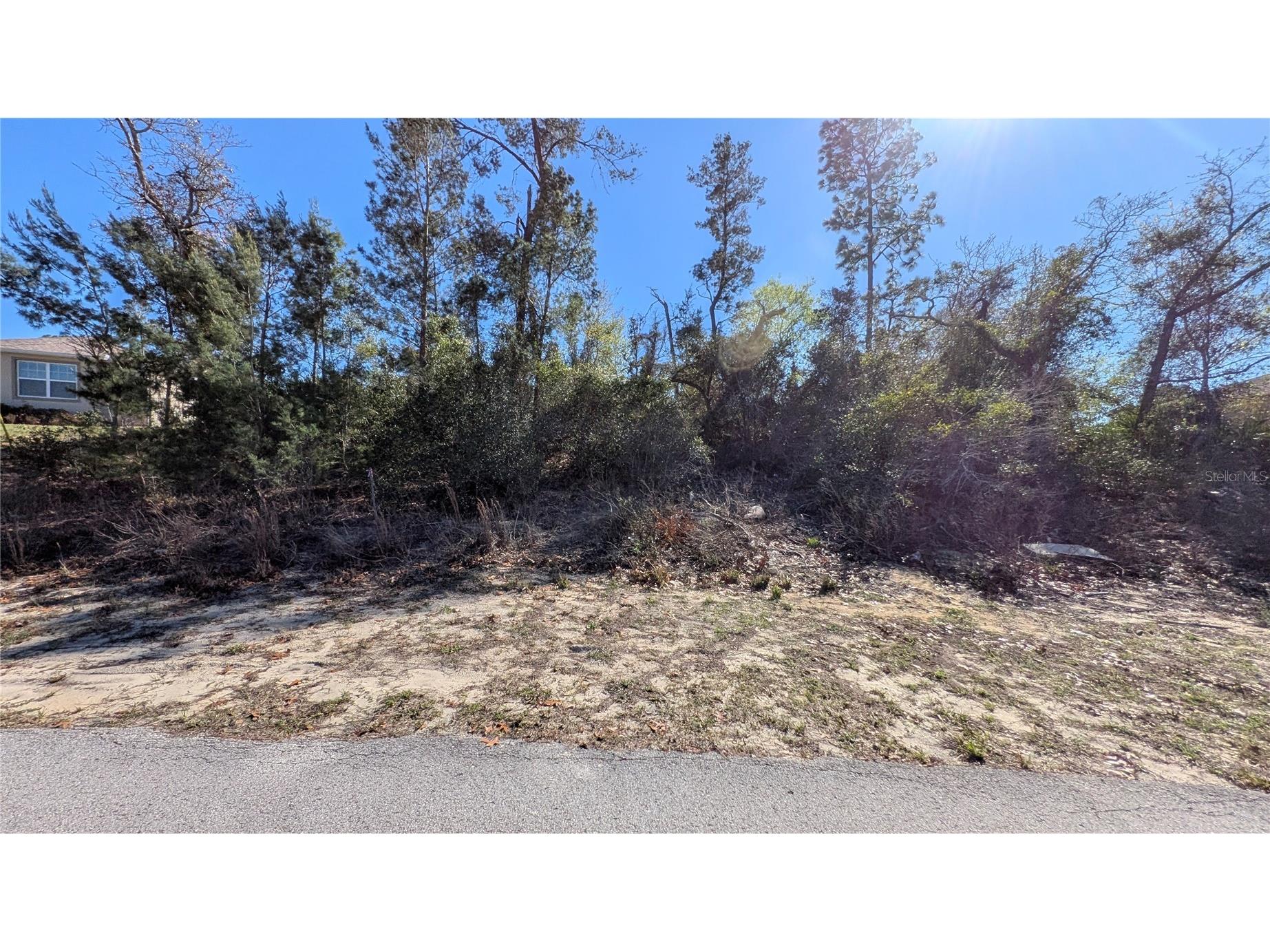 13014 Hanley Drive Spring Hill FL 34609 W7883293 image1