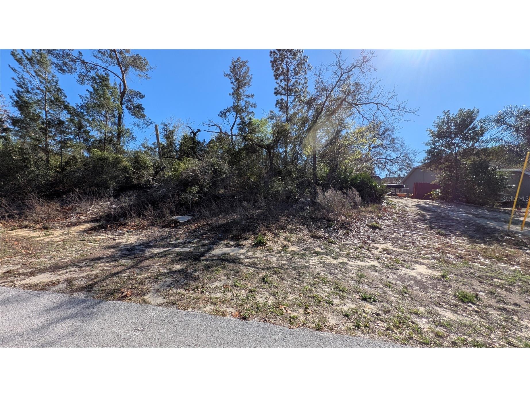 13014 Hanley Drive Spring Hill FL 34609 W7883293 image10
