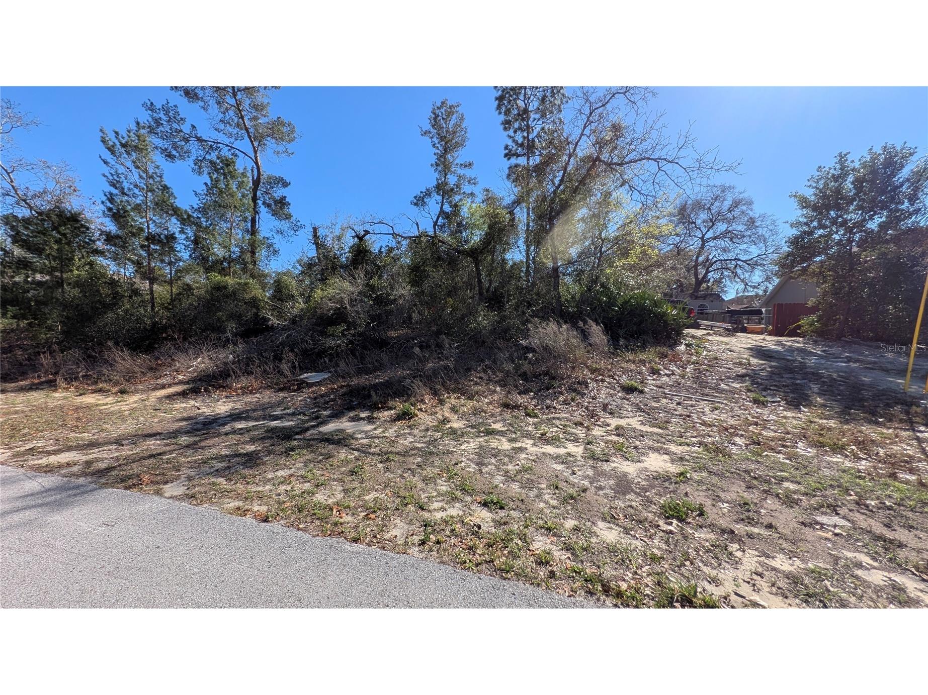 13014 Hanley Drive Spring Hill FL 34609 W7883293 image11