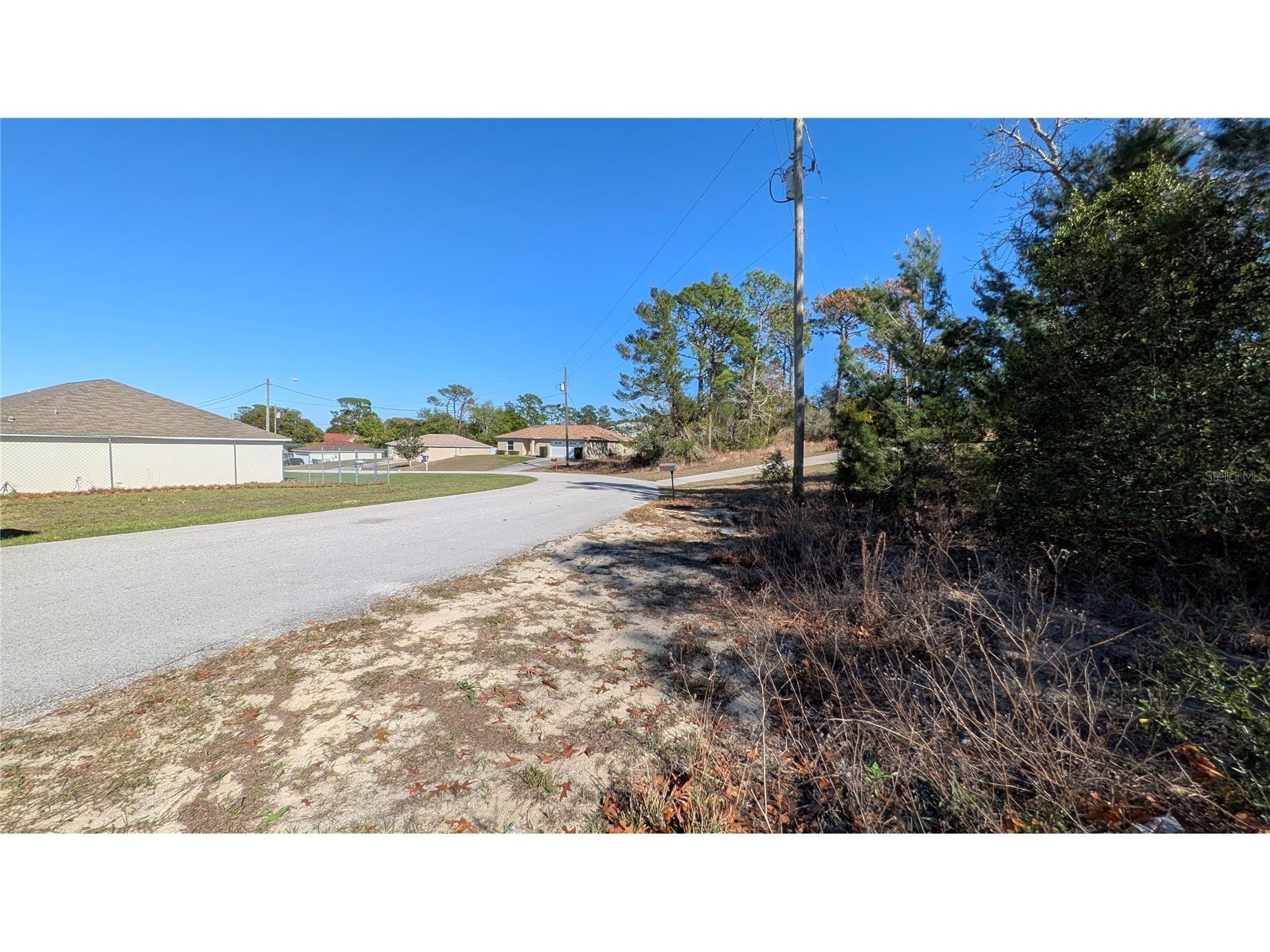 13014 Hanley Drive Spring Hill FL 34609 W7883293 image3