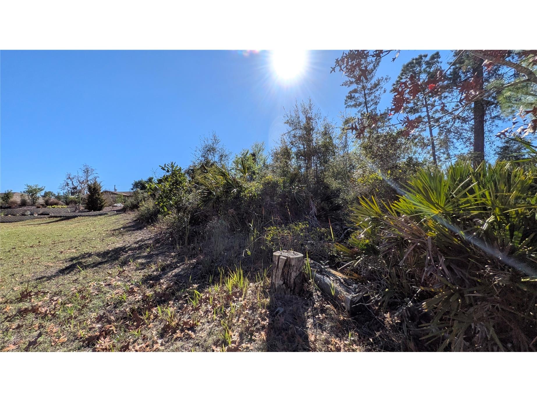 13014 Hanley Drive Spring Hill FL 34609 W7883293 image5