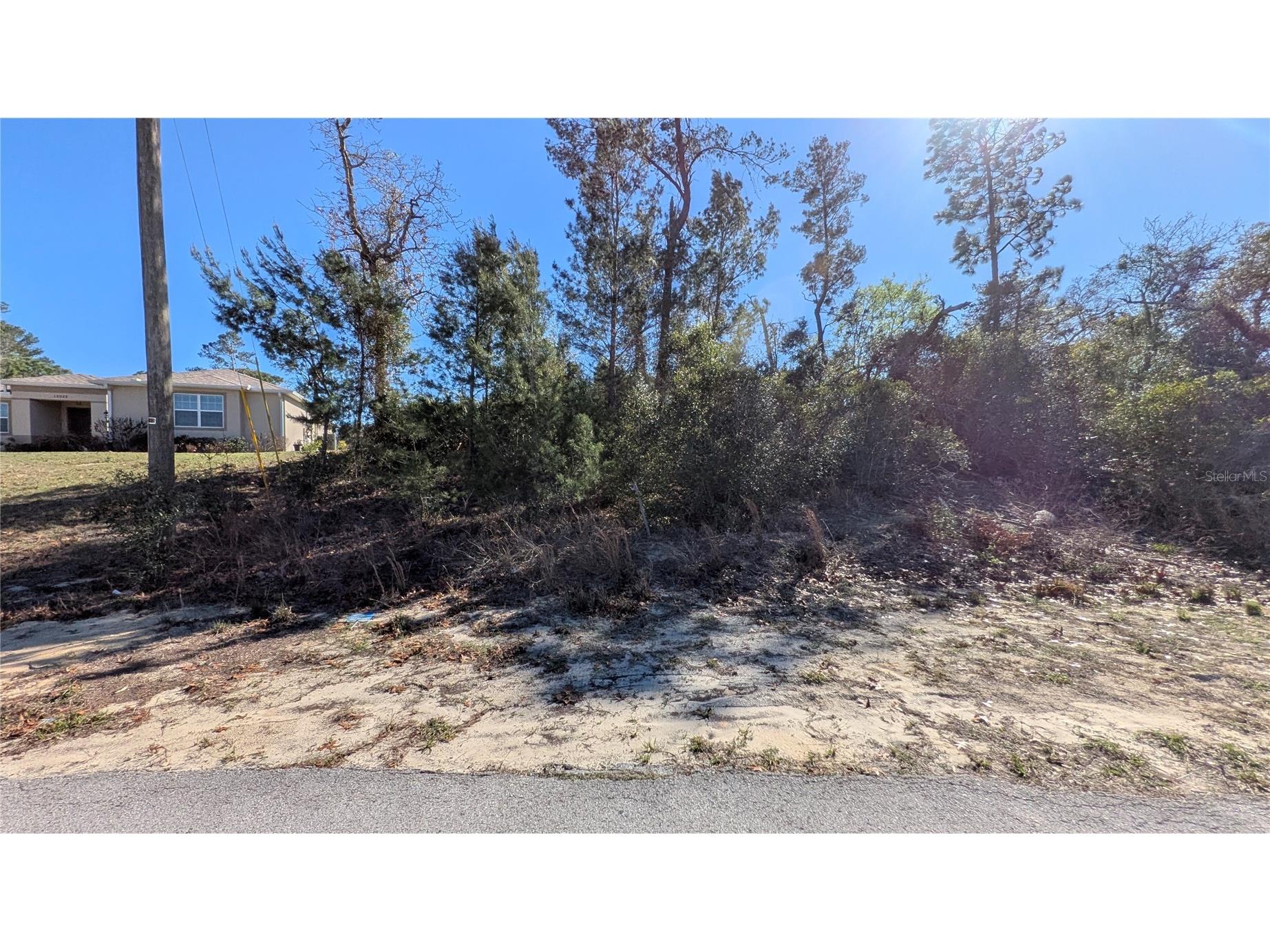 13014 Hanley Drive Spring Hill FL 34609 W7883293 image8