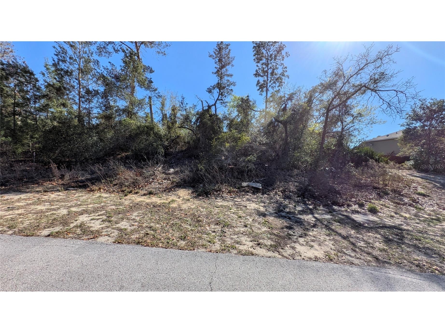 13014 Hanley Drive Spring Hill FL 34609 W7883293 image9