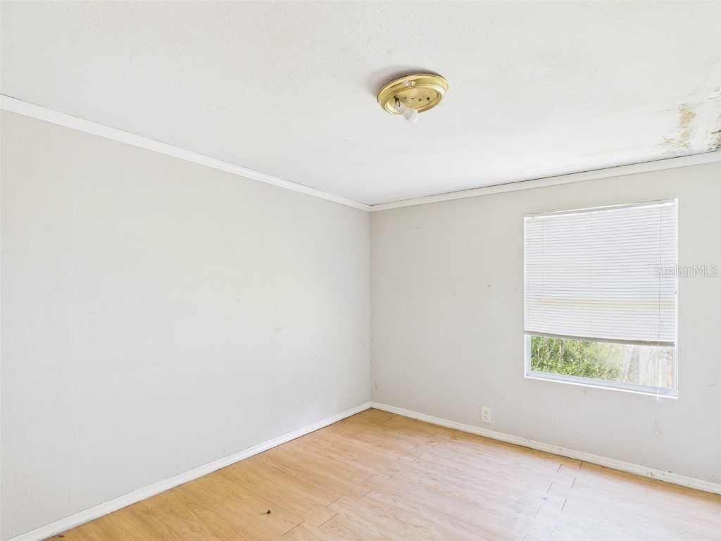 13014 Lincoln Road Riverview FL 33578 P4936252 image17