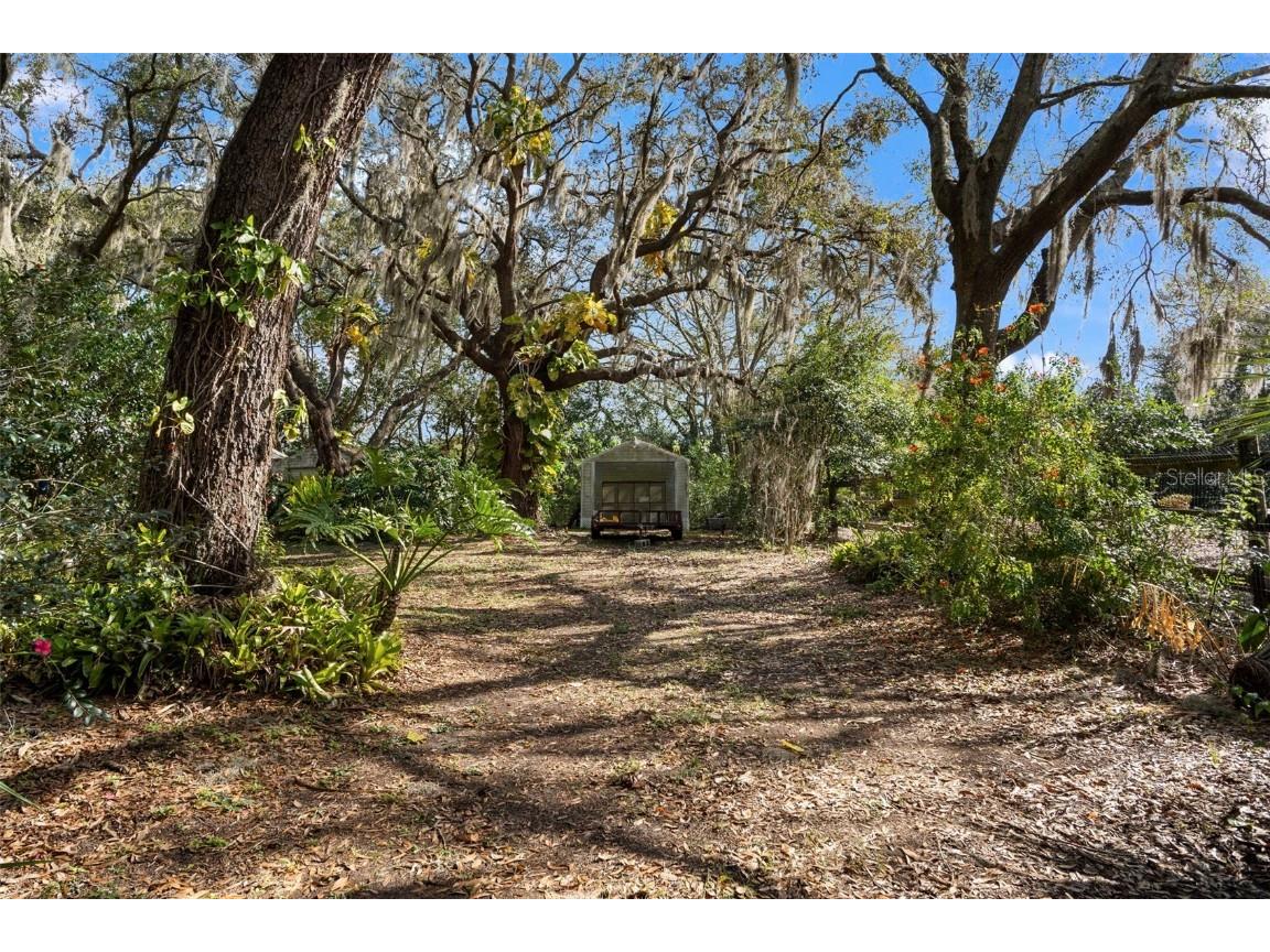 13015 Elm Street Odessa FL 33556 TB8378683 image33