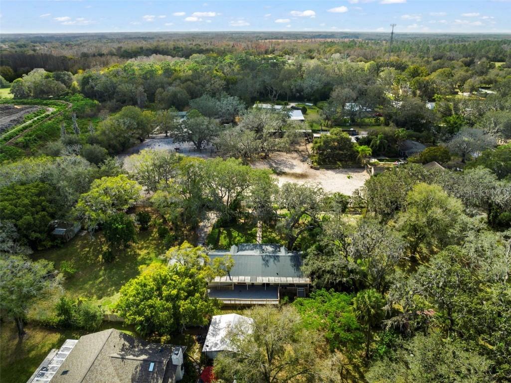 13015 Elm Street Odessa FL 33556 TB8378683 image41