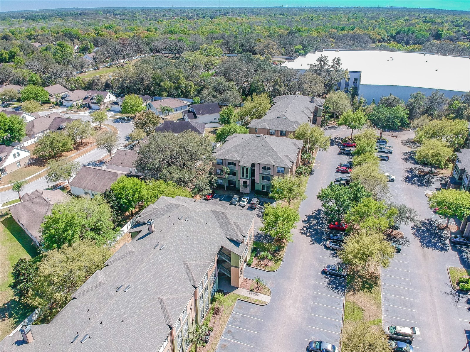 13015 Sanctuary Cove Drive #101 Temple Terrace FL 33637 TB8487772 image25