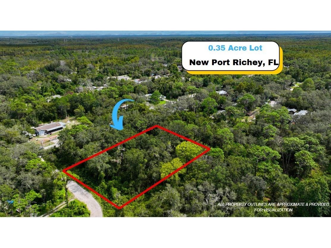 13016 Catalona Avenue New Port Richey FL 34654 A4665760 image1