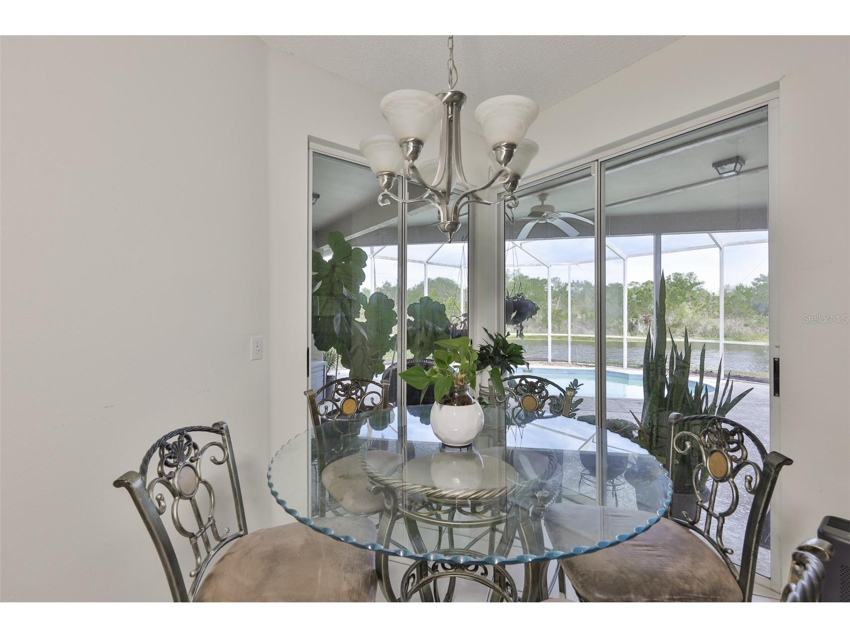 13016 Prestwick Drive Riverview FL 33579 TB8497569 image21