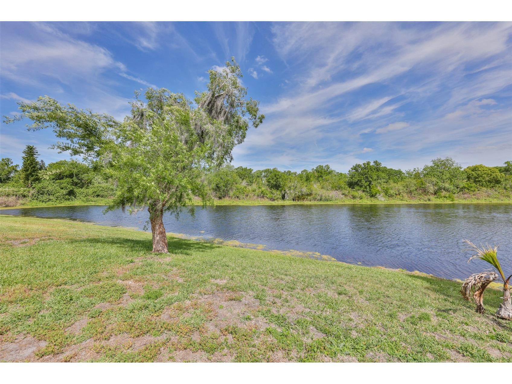 13016 Prestwick Drive Riverview FL 33579 TB8497569 image27