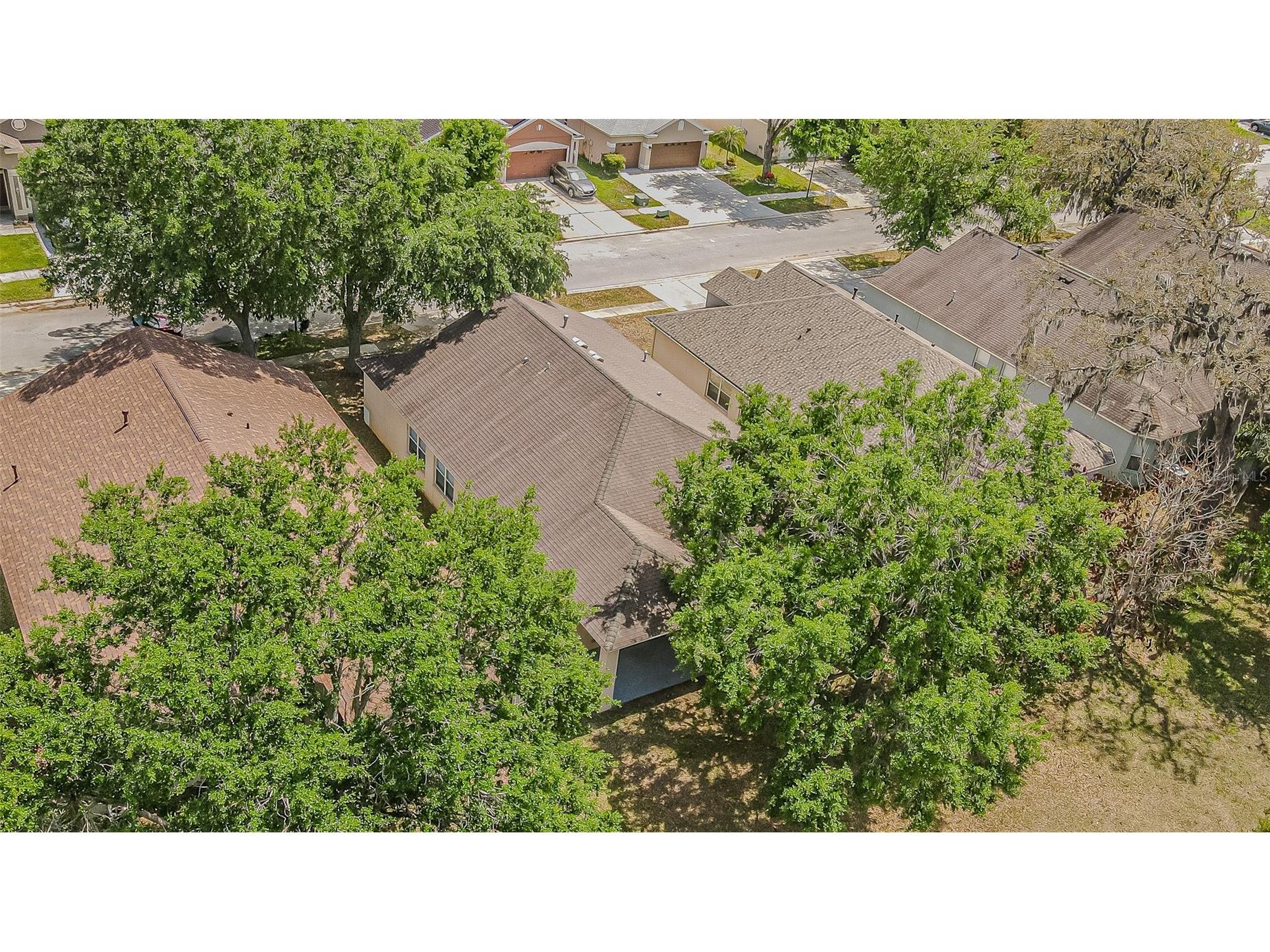 13016 Terrace Brook Place Temple Terrace FL 33637 TB8492740 image21