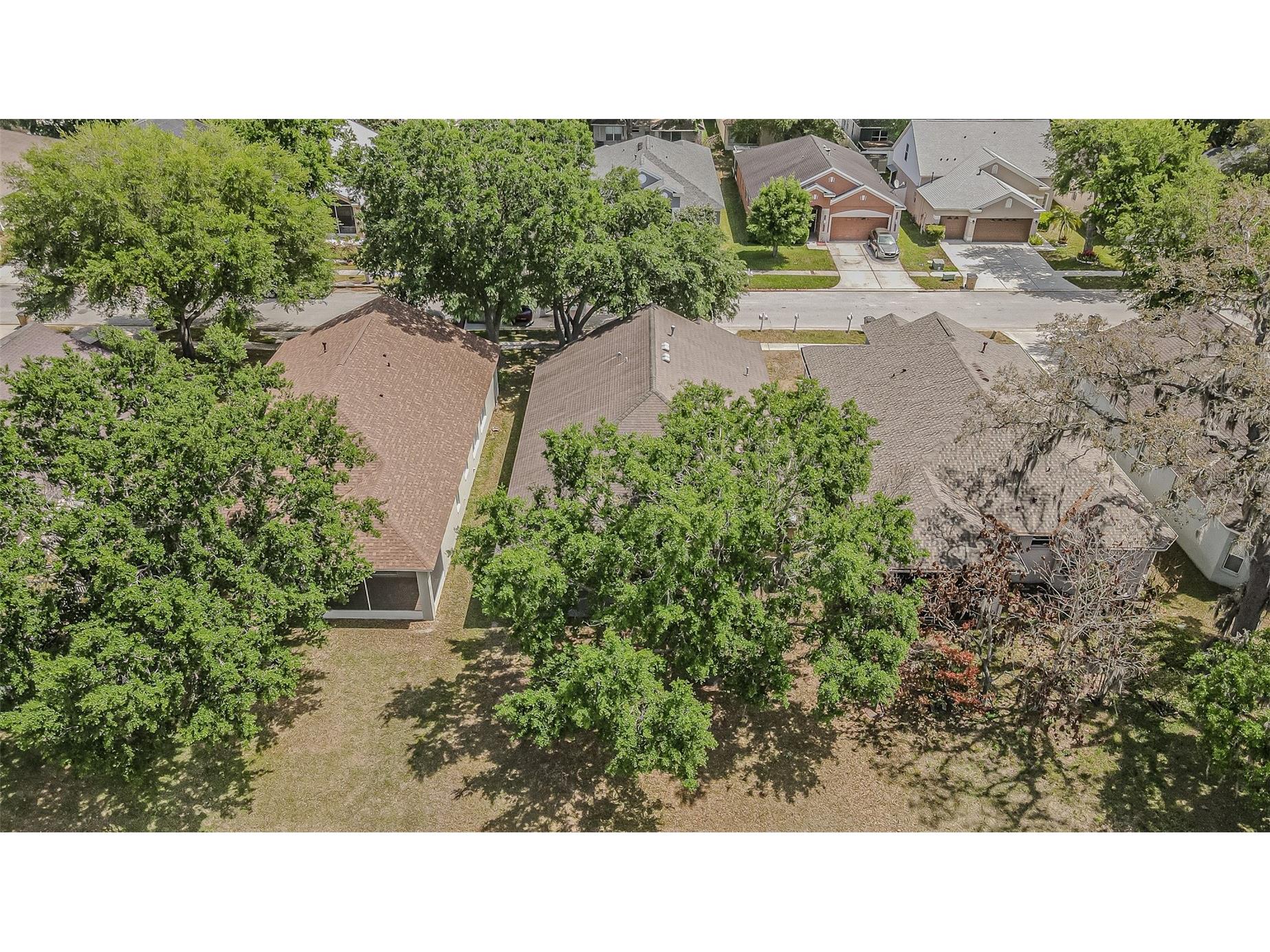 13016 Terrace Brook Place Temple Terrace FL 33637 TB8492740 image22