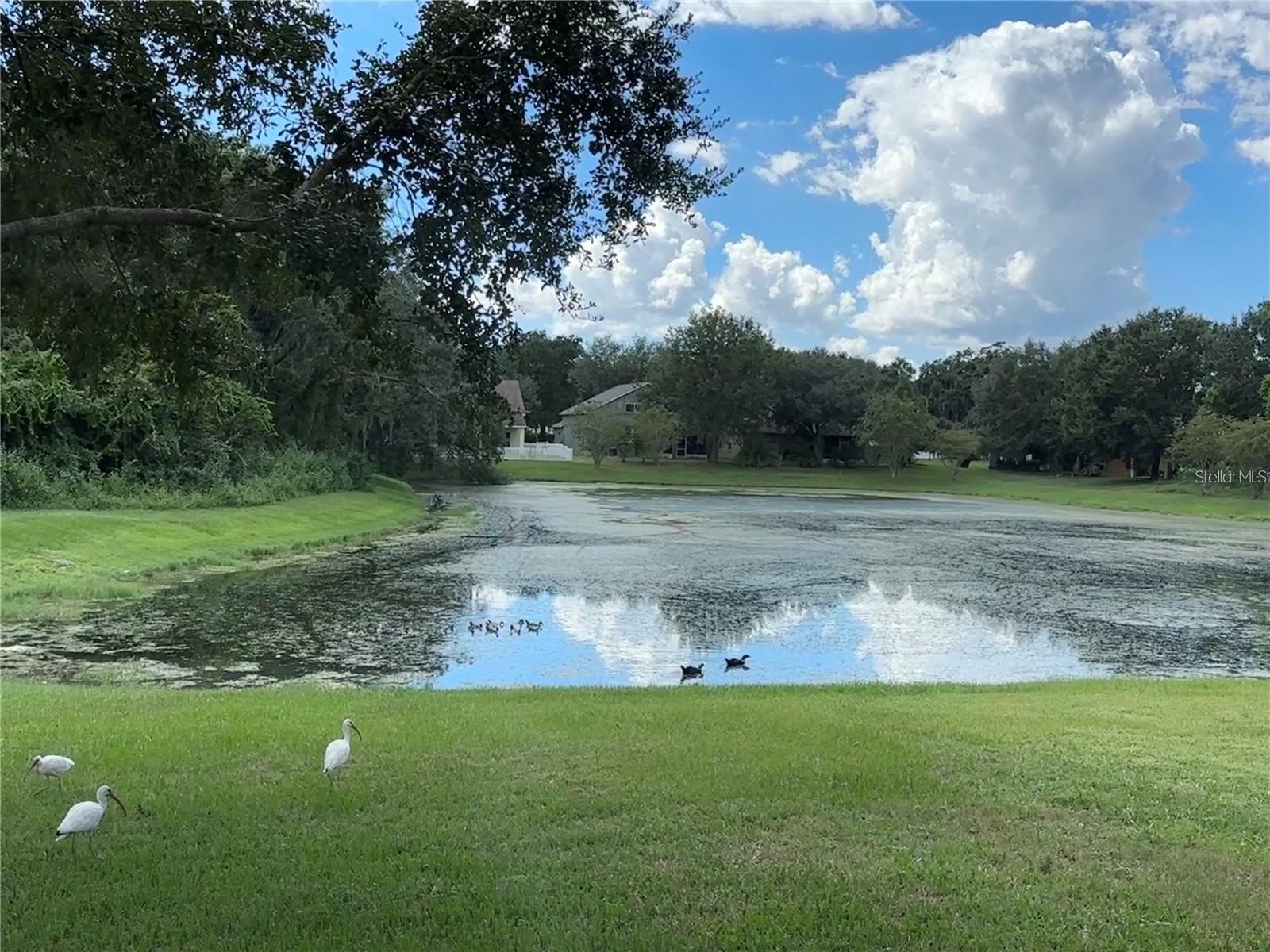 13016 Terrace Brook Place Temple Terrace FL 33637 TB8492740 image24