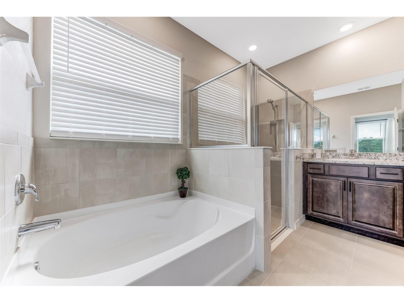 13016 Willow Grove Drive Riverview FL 33579 TB8437134 image34