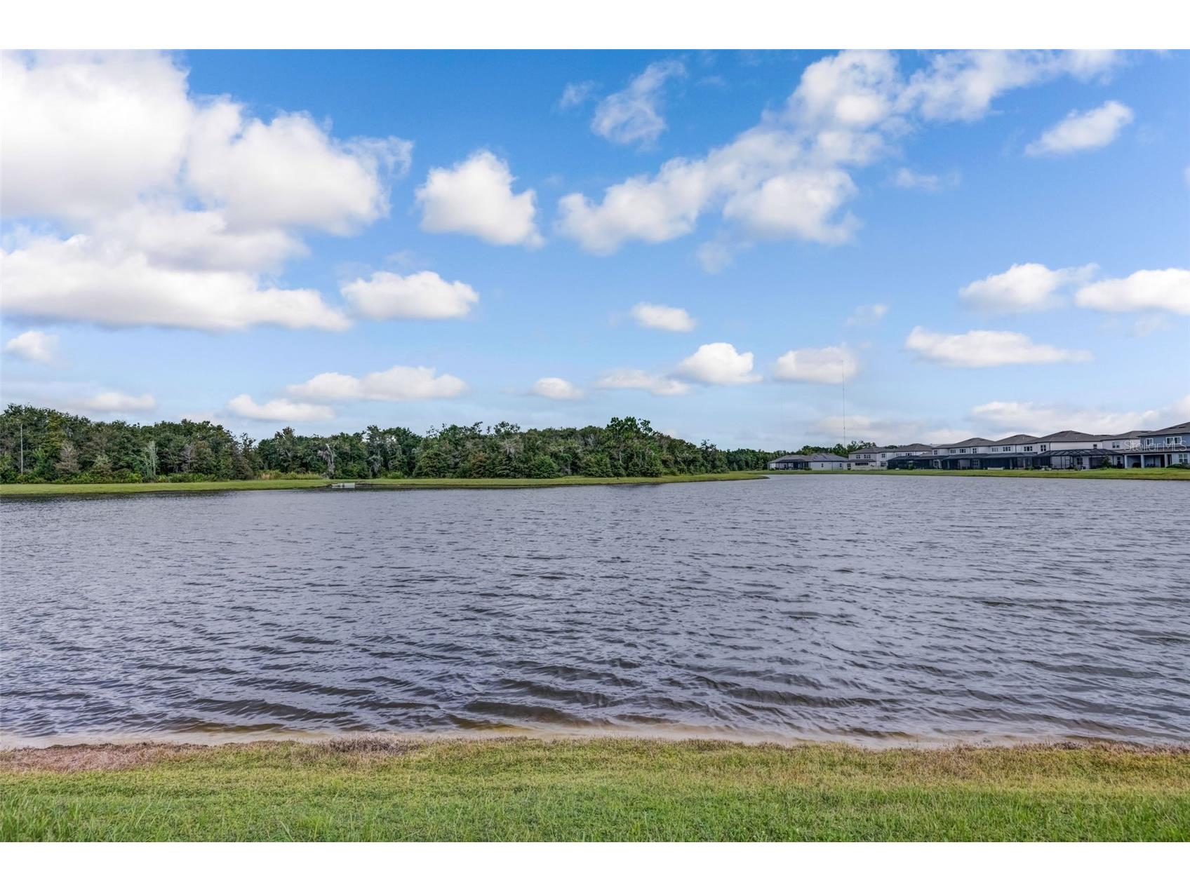 13016 Willow Grove Drive Riverview FL 33579 TB8437134 image4