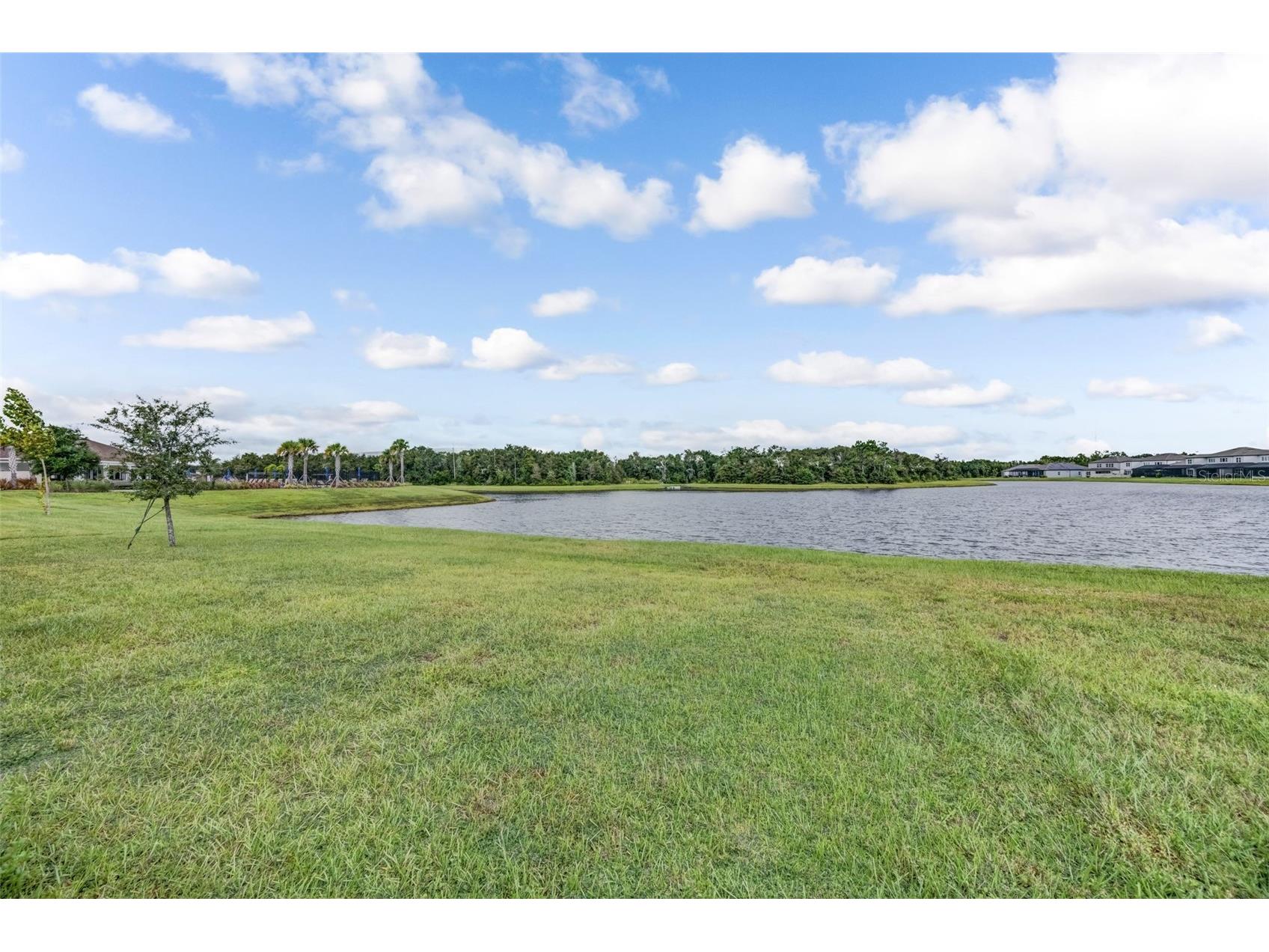 13016 Willow Grove Drive Riverview FL 33579 TB8437134 image53