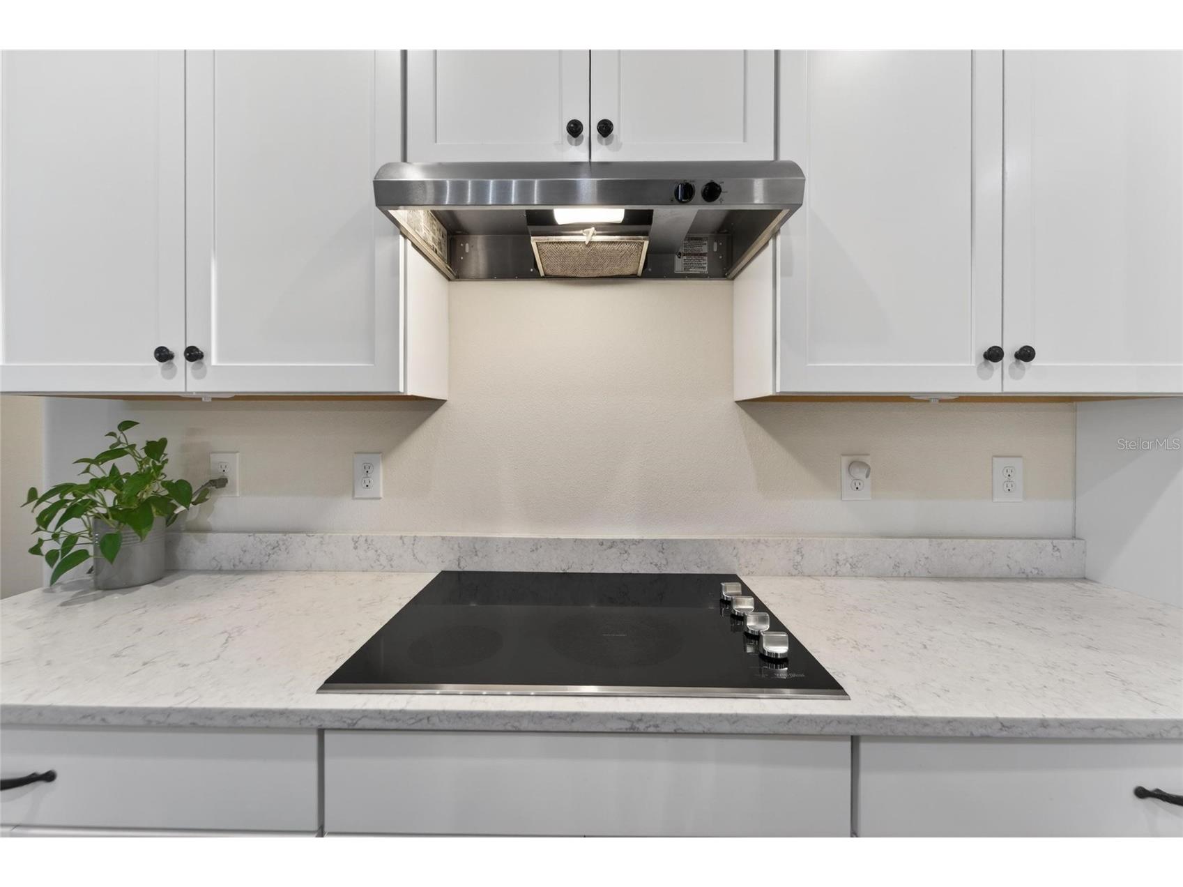 13017 Satin Lily Drive Riverview FL 33579 TB8505086 image10